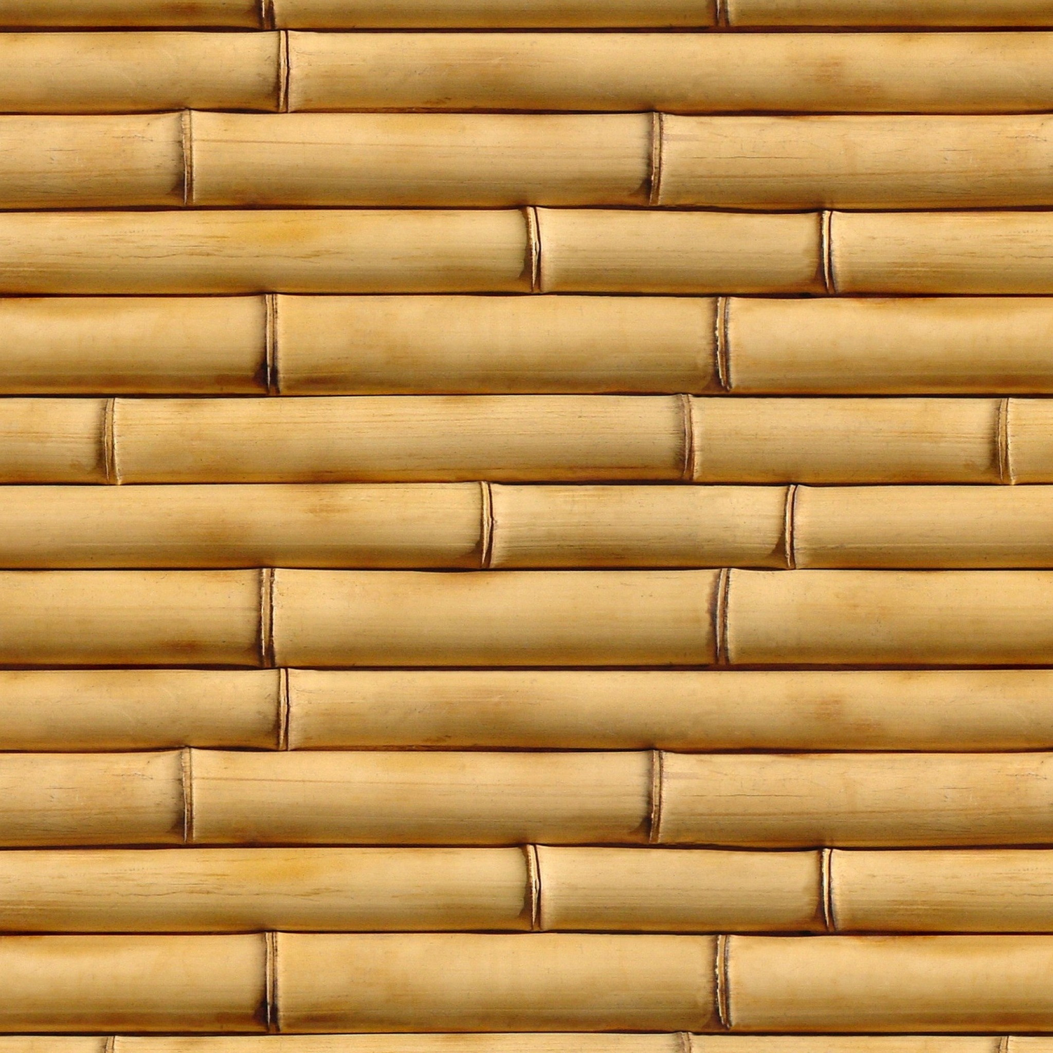 2048x2048  Wallpaper bamboo, vertical, wood