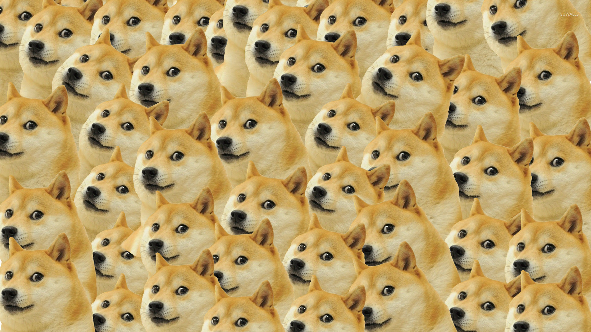 1920x1080 Doge pattern wallpaper - Meme wallpapers - #27481