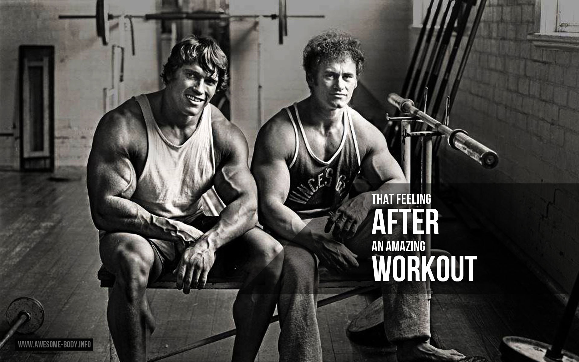 1920x1200 Arnold Schwarzenegger | Workout Motivation | wallpapers