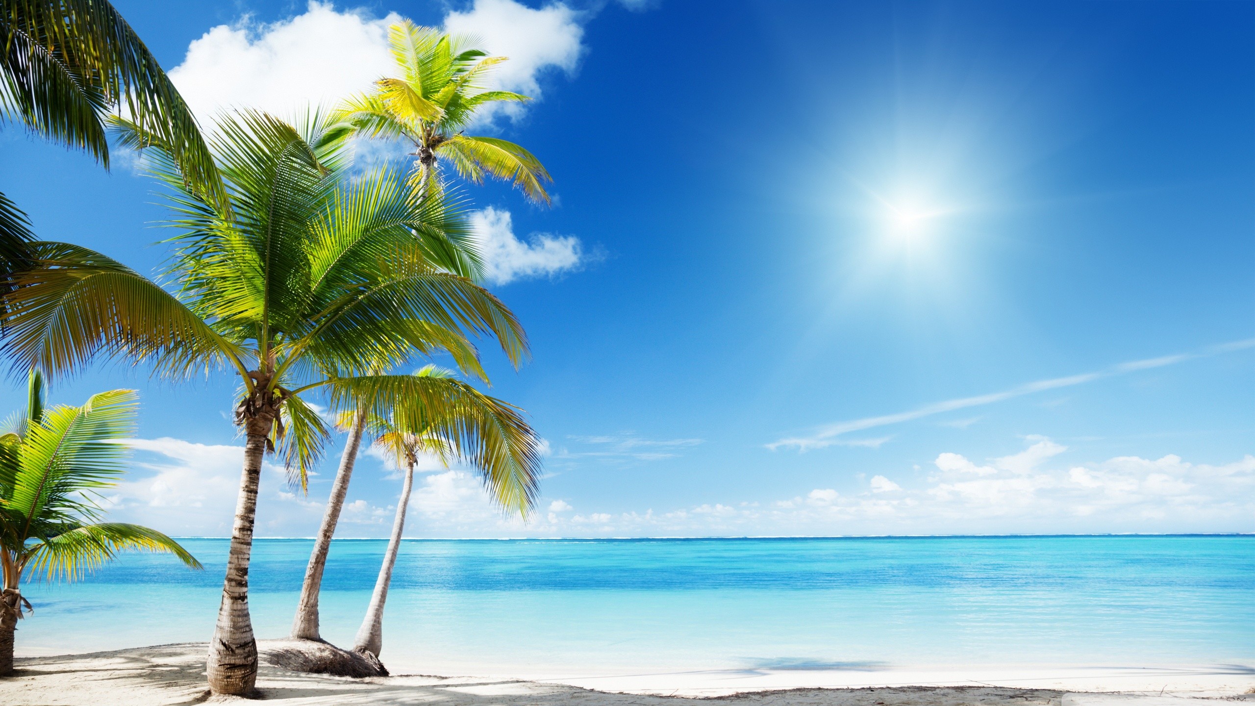 2560x1440 ... Tropical Beach Paradise HD desktop wallpaper Widescreen High .