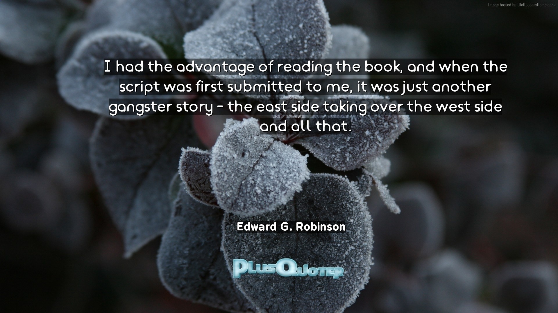 1920x1080 Download Wallpaper with inspirational Quotes- "I had the advantage of  reading the book,