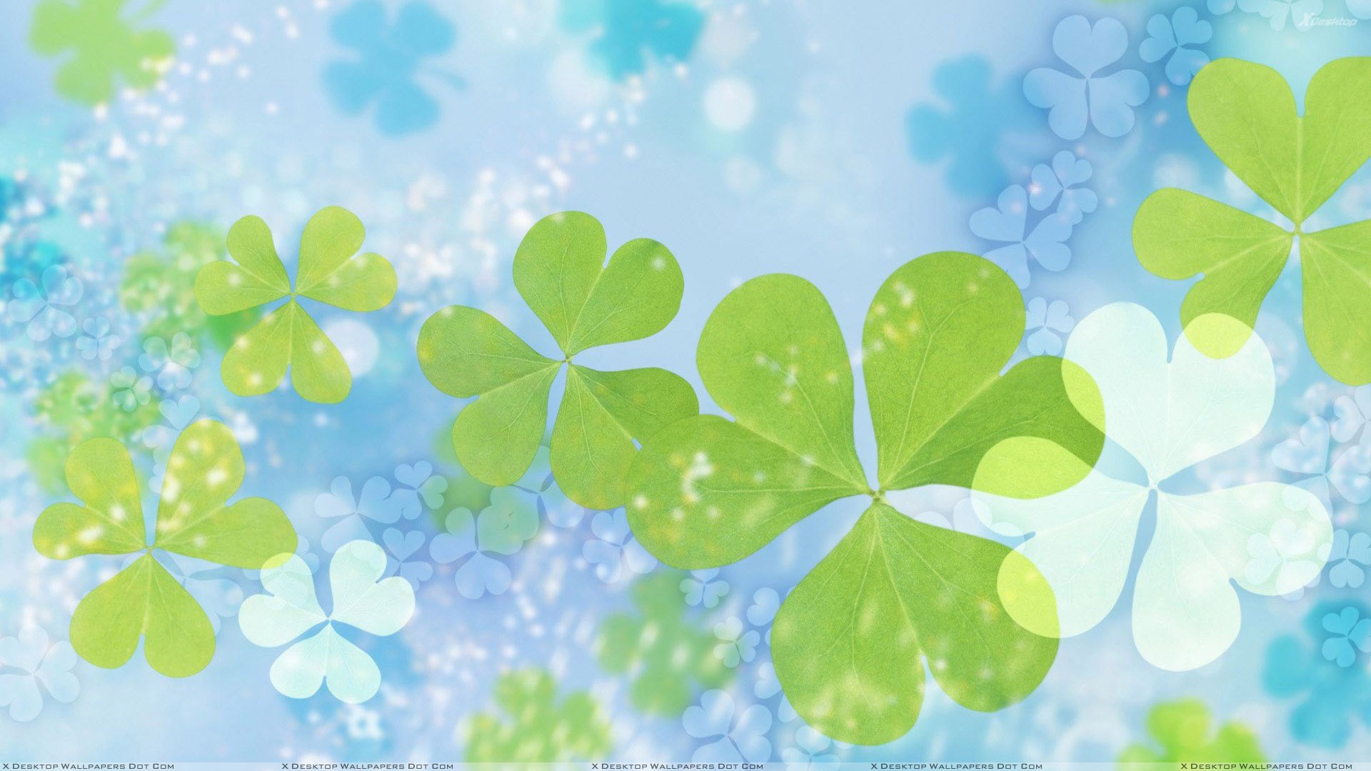 1920x1080  Green Leaves On Cool Blue Background Wallpaper