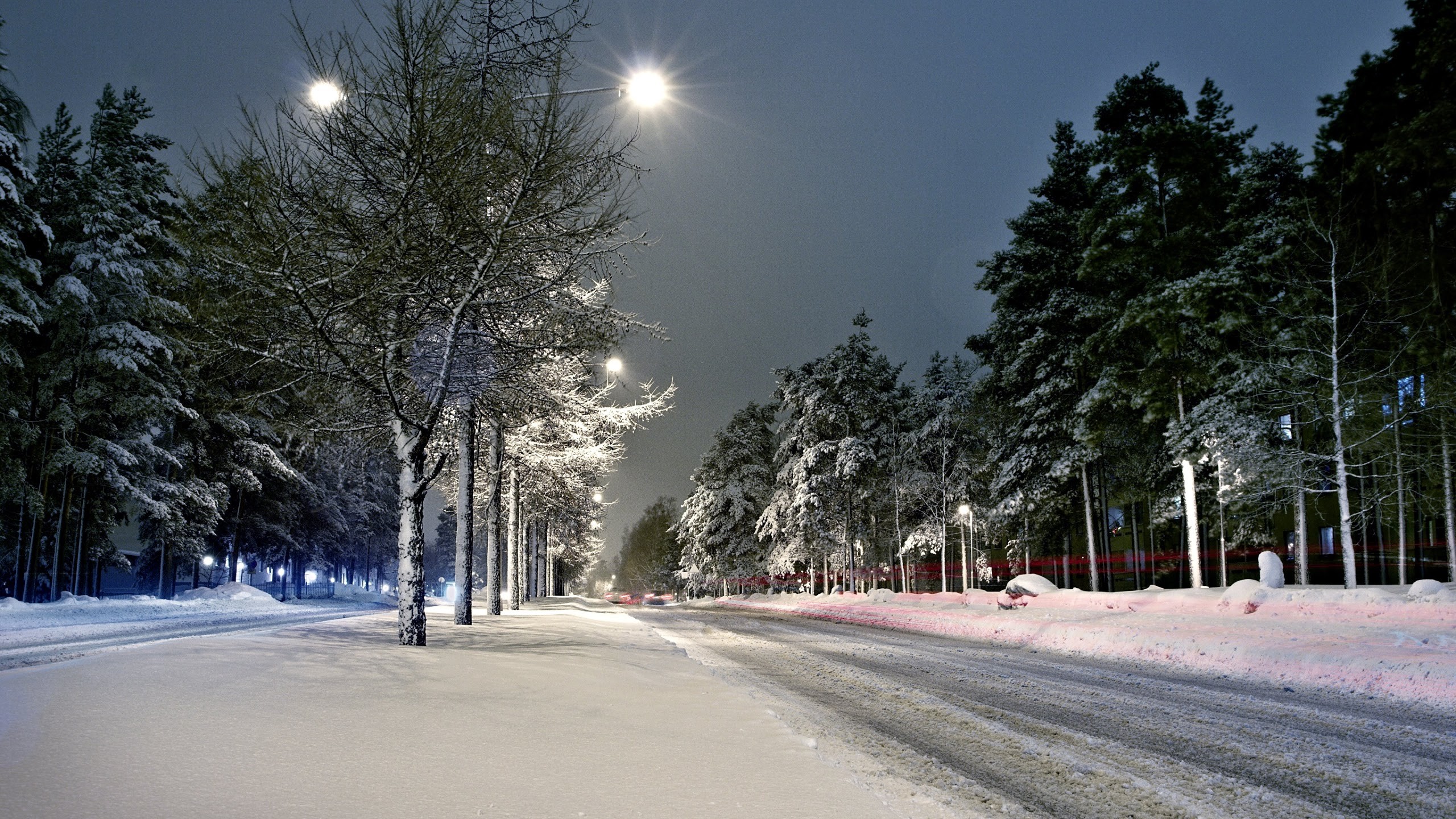 2560x1440 Wallpaper: Street Lights Winter Snow Scenery