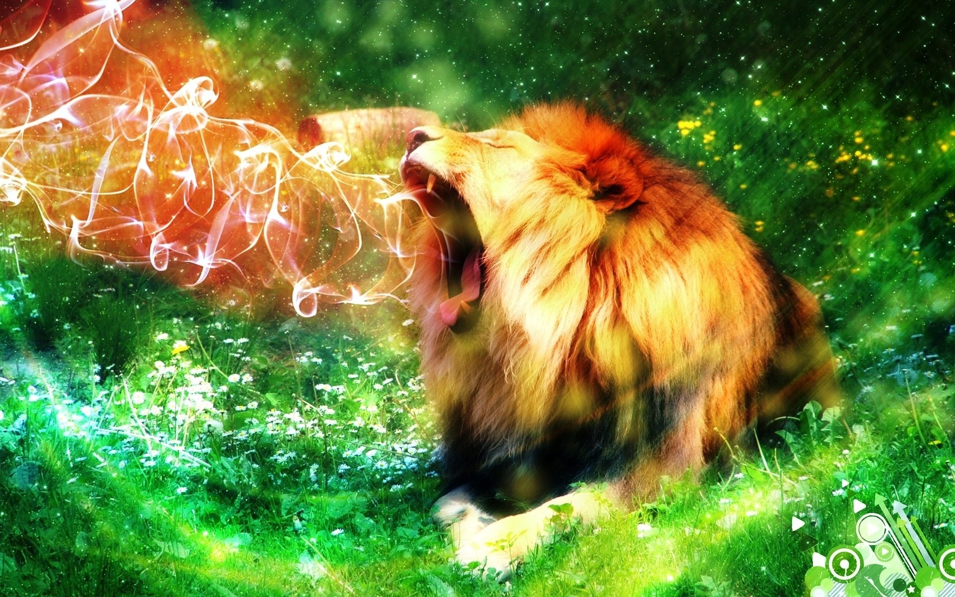 1920x1200 Lion Roar