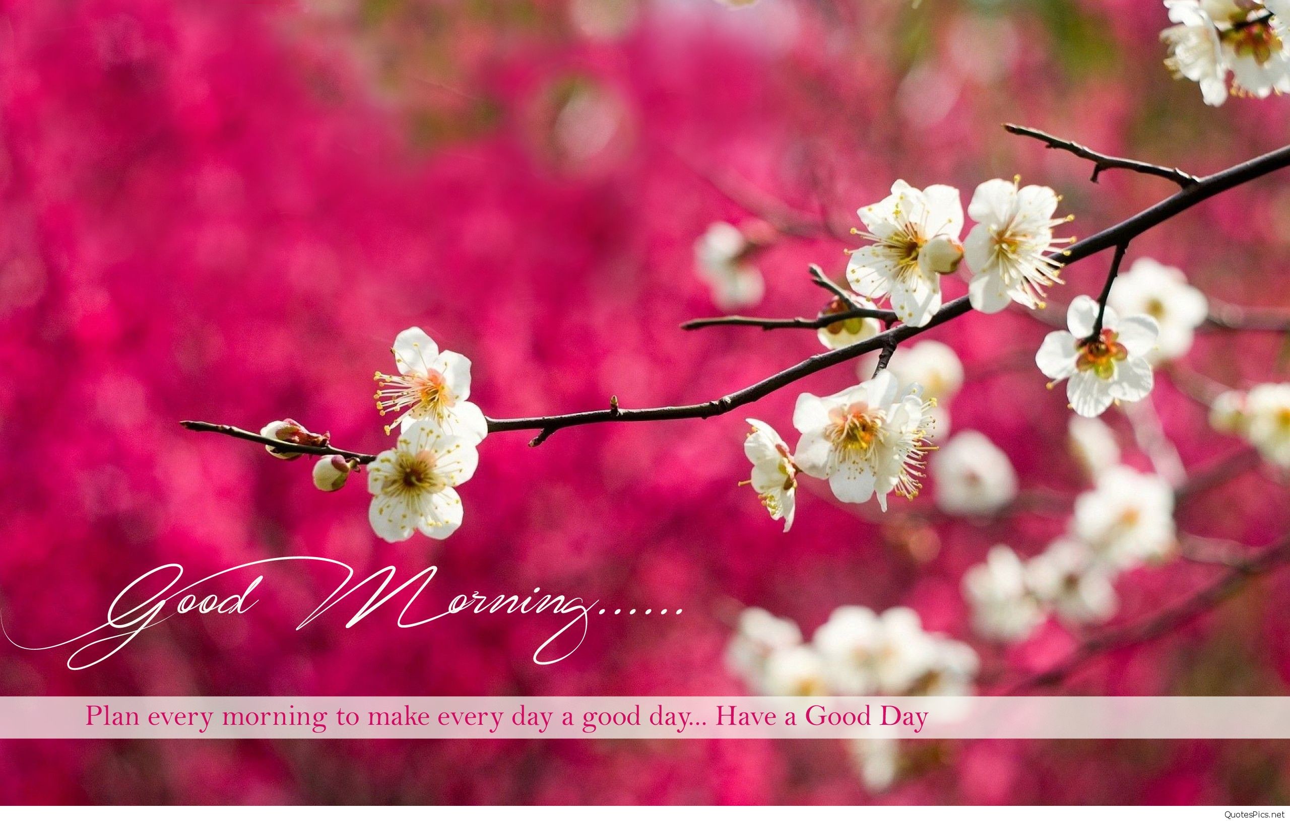 2560x1630 beautiful-good-morning-wishes-wide-hd-wallpapers