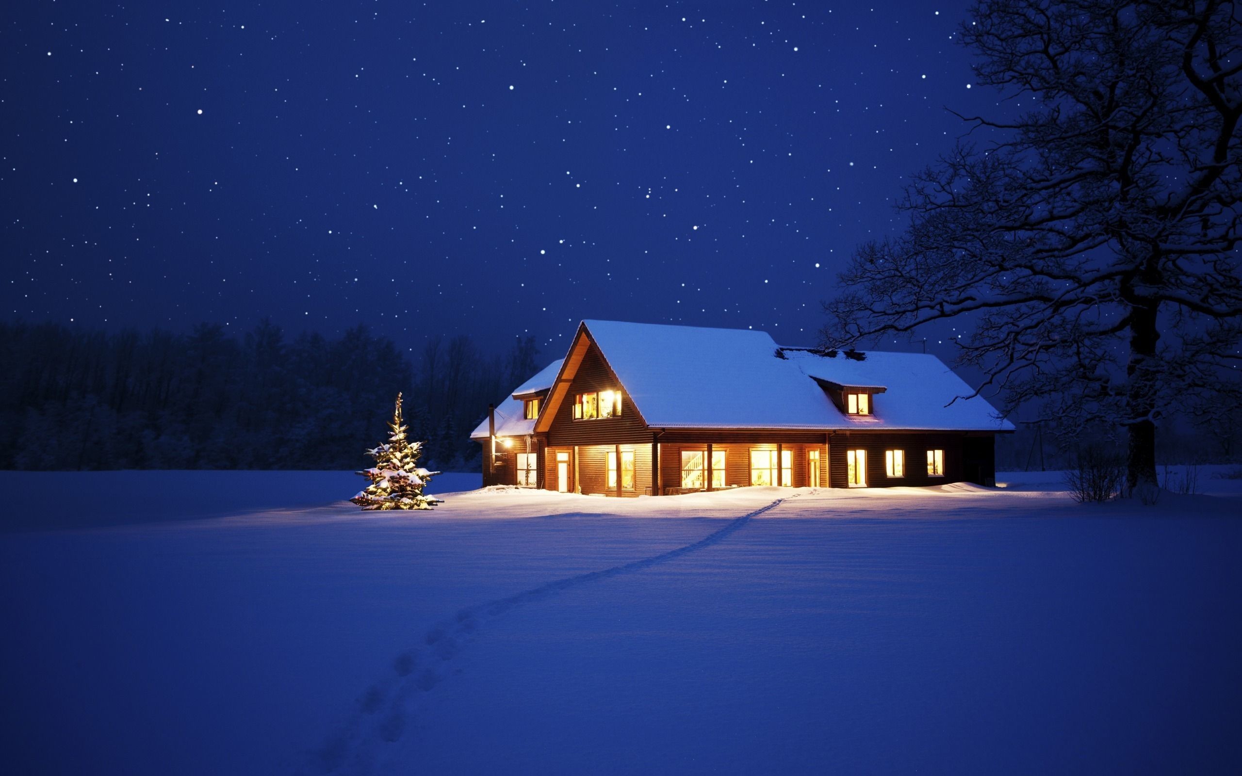 2560x1600 Landscape Home Night Winter Wallpaper Free Wallpaper | WallpaperLepi