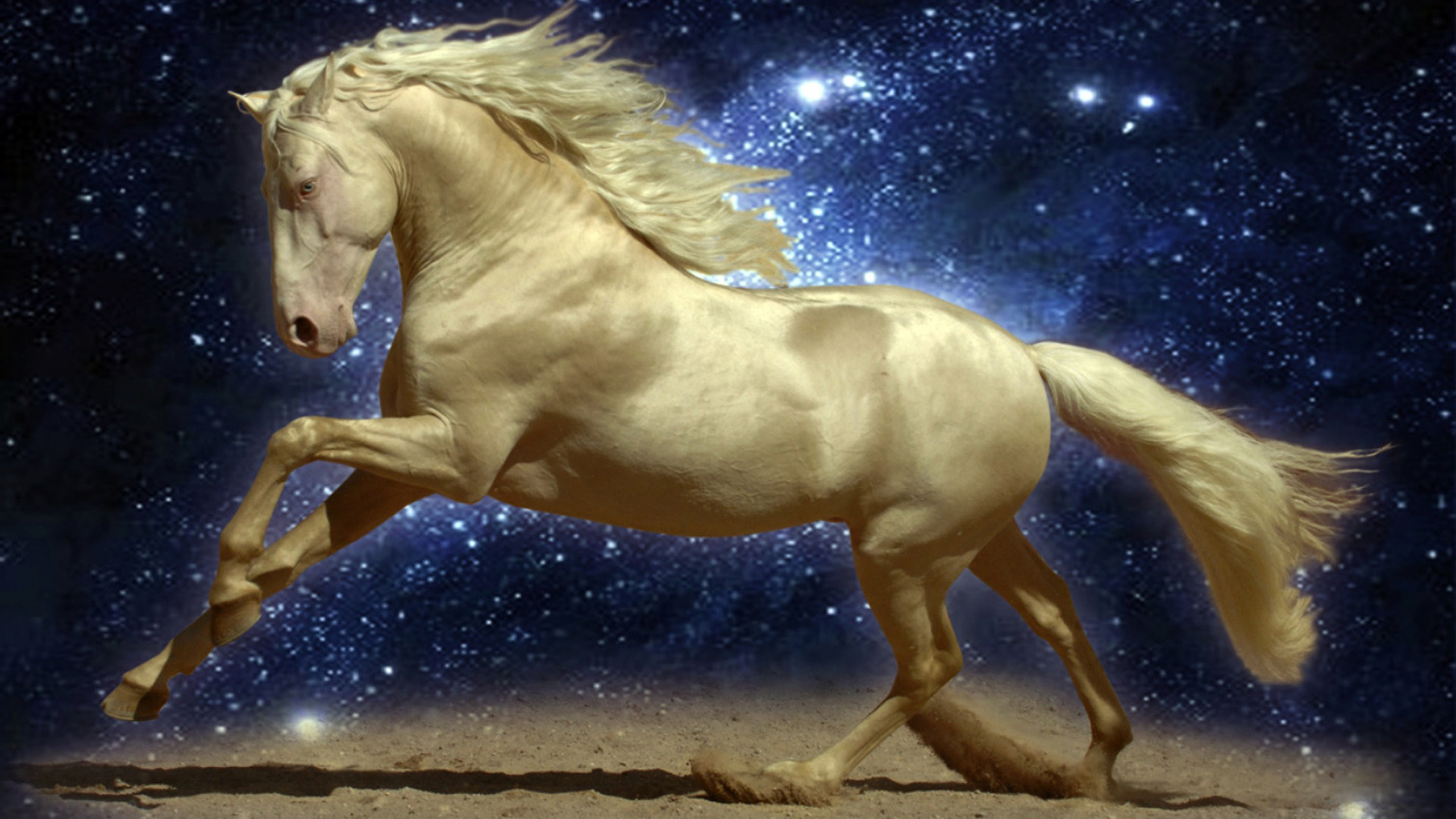 3840x2160 Beautiful Golden Horse-Night-sky-Stars-sand-Wallpaper Hd