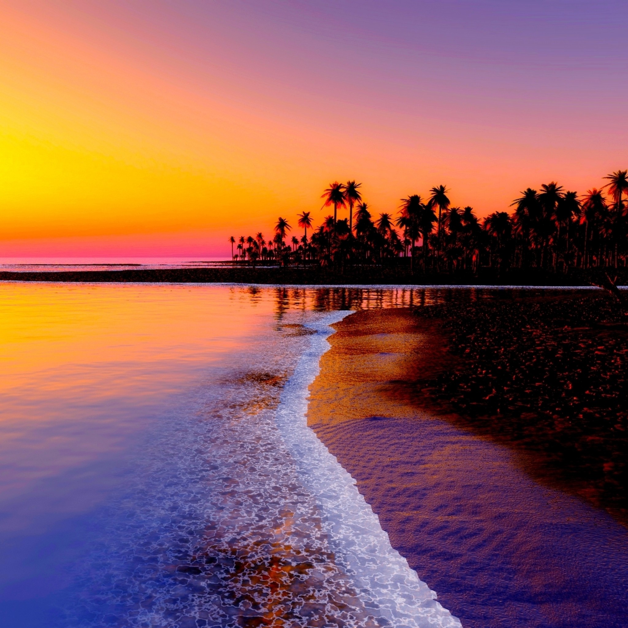 2048x2048  Wallpaper beach, tropics, sea, sand, palm trees, sunset