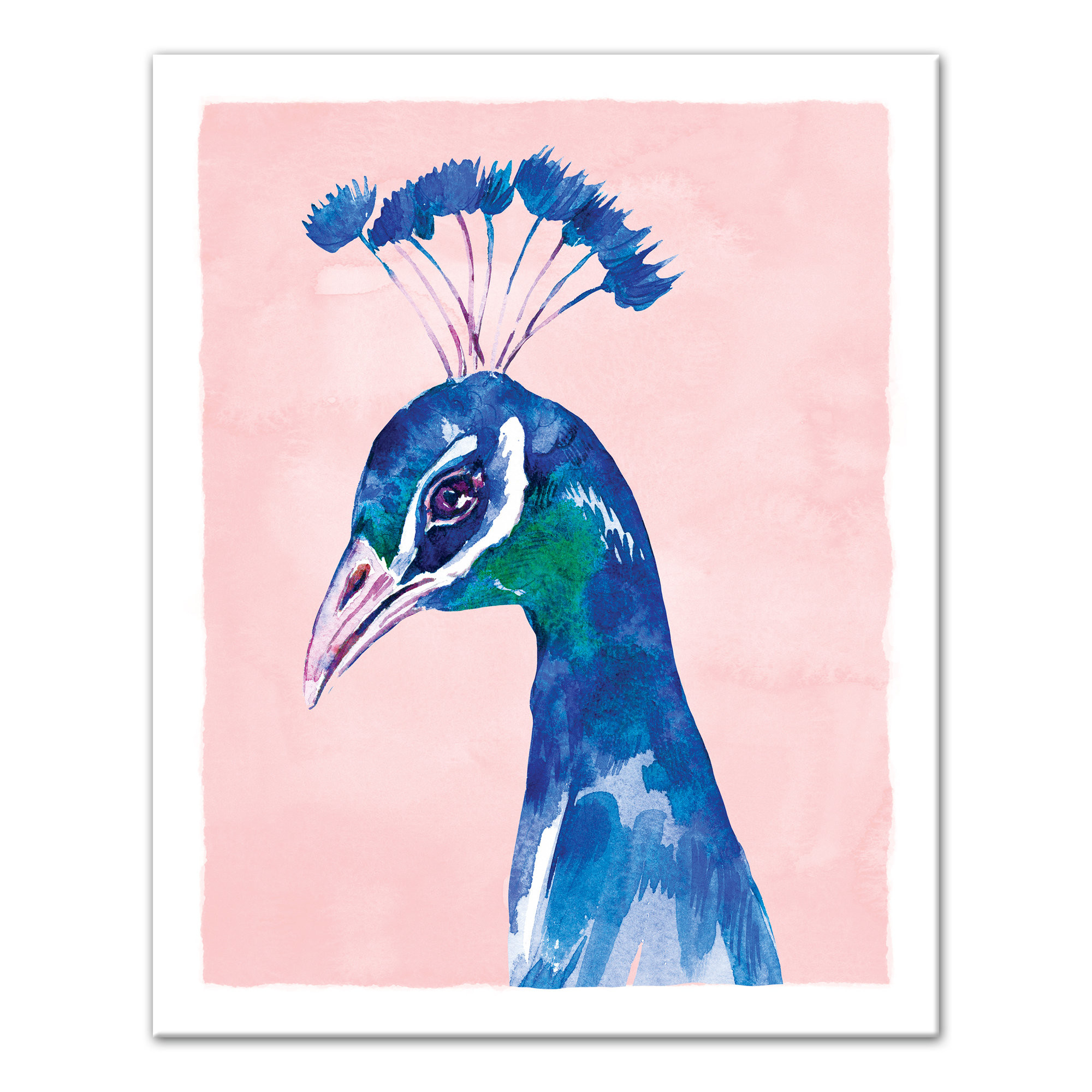 2000x2000 'Peacock on Pink Background' Watercolor Painting Print on Canvas | Joss &  Main