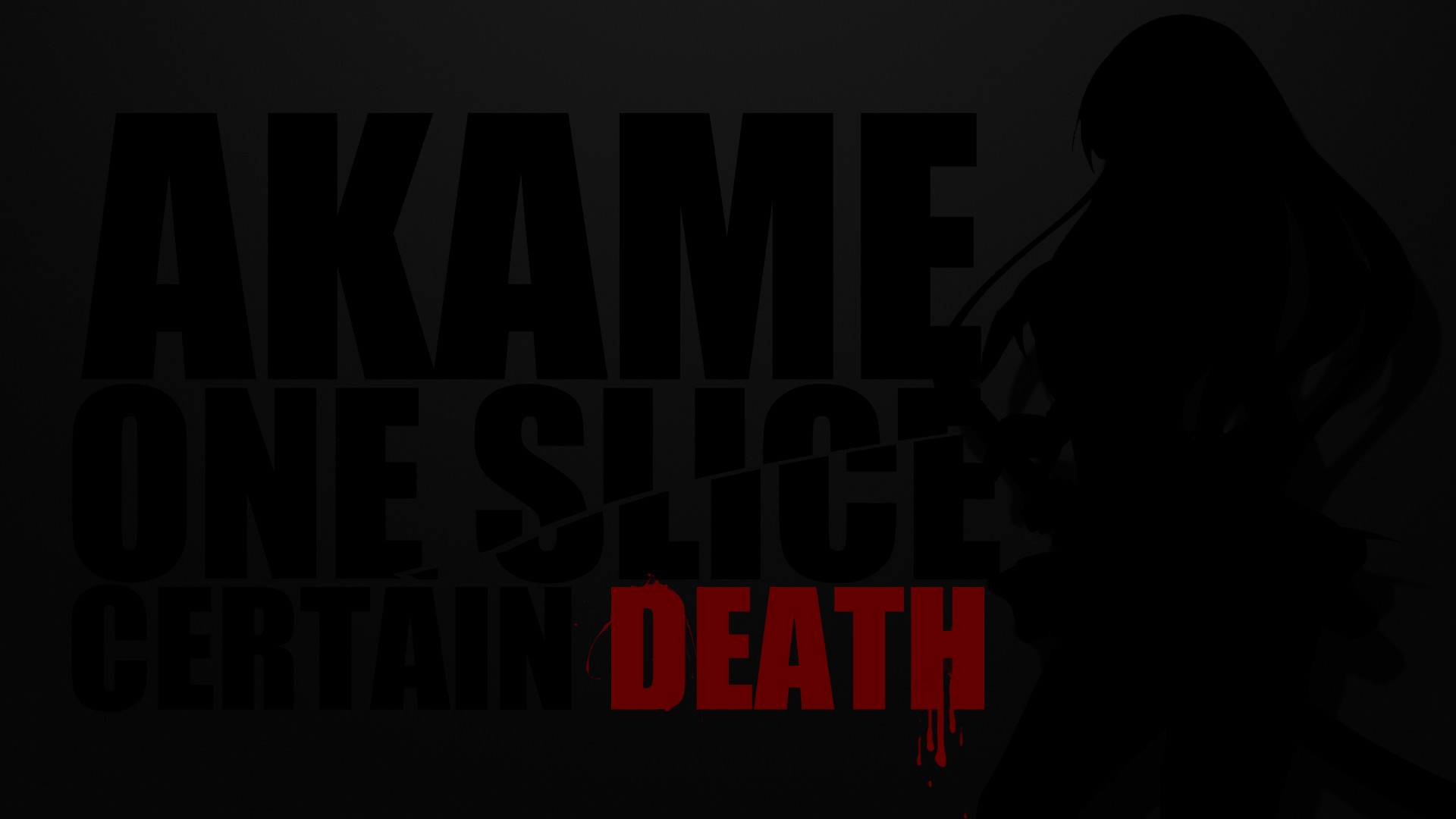 1920x1080 Anime - Akame ga Kill! Akame (Akame Ga Kill!) Shadow Katana Wallpaper