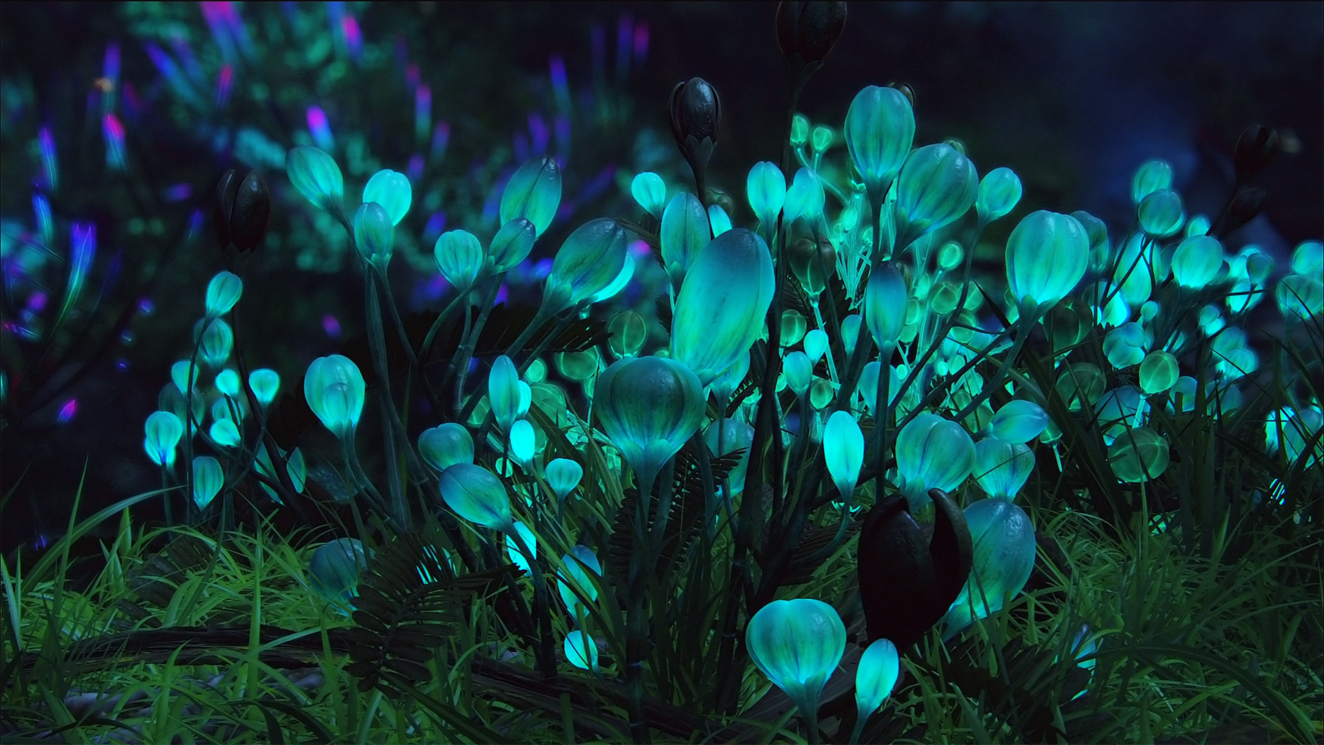 1920x1080 Download wallpaper glow, Plants, Avatar free desktop wallpaper in the  resolution  — picture