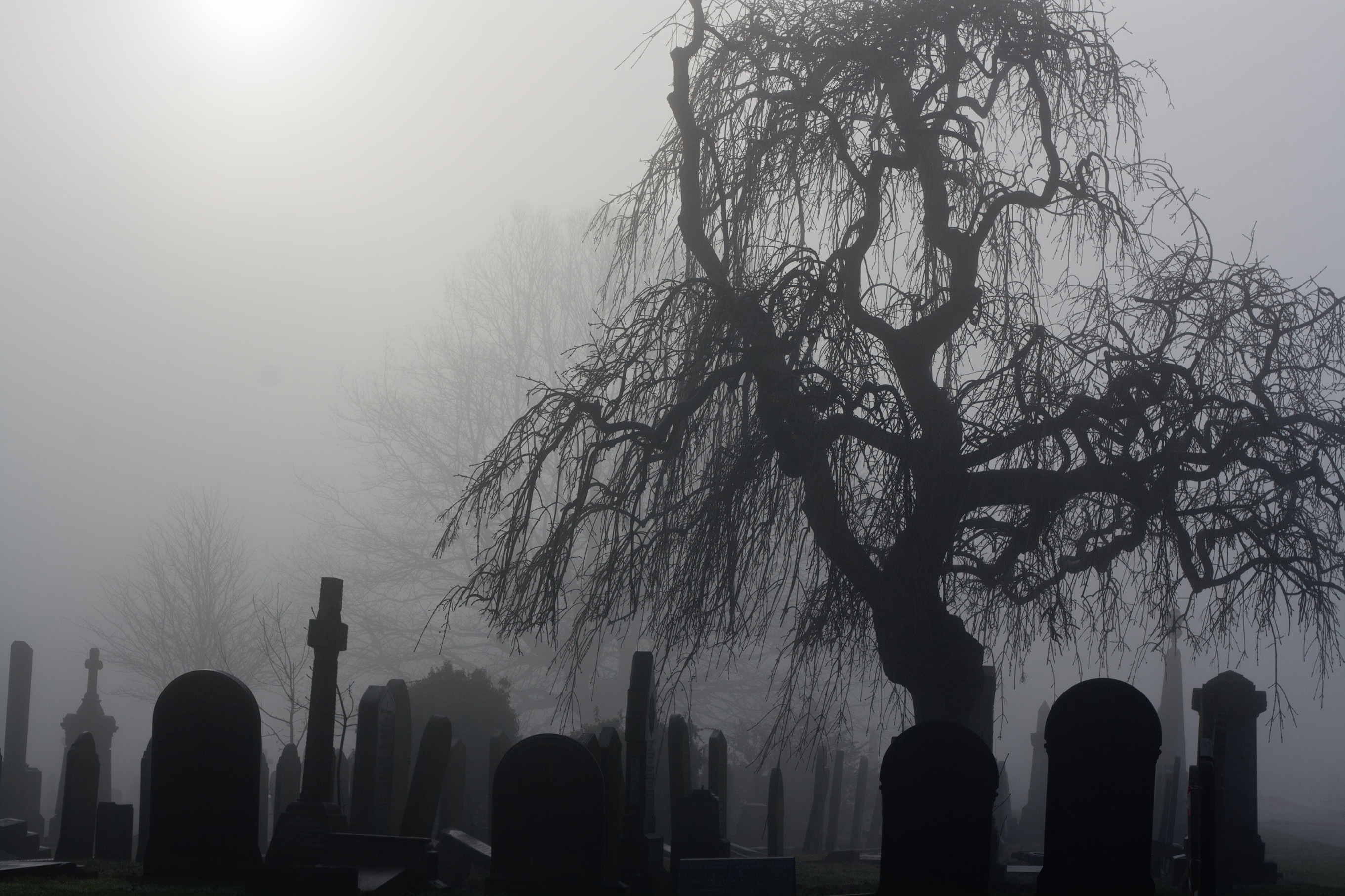 Creepy Graveyard Wallpaper (64+ images)