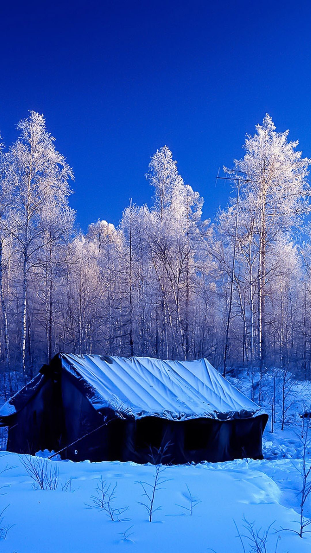 1080x1920 Snow Forest Tent Winter Nature Android Wallpaper ...