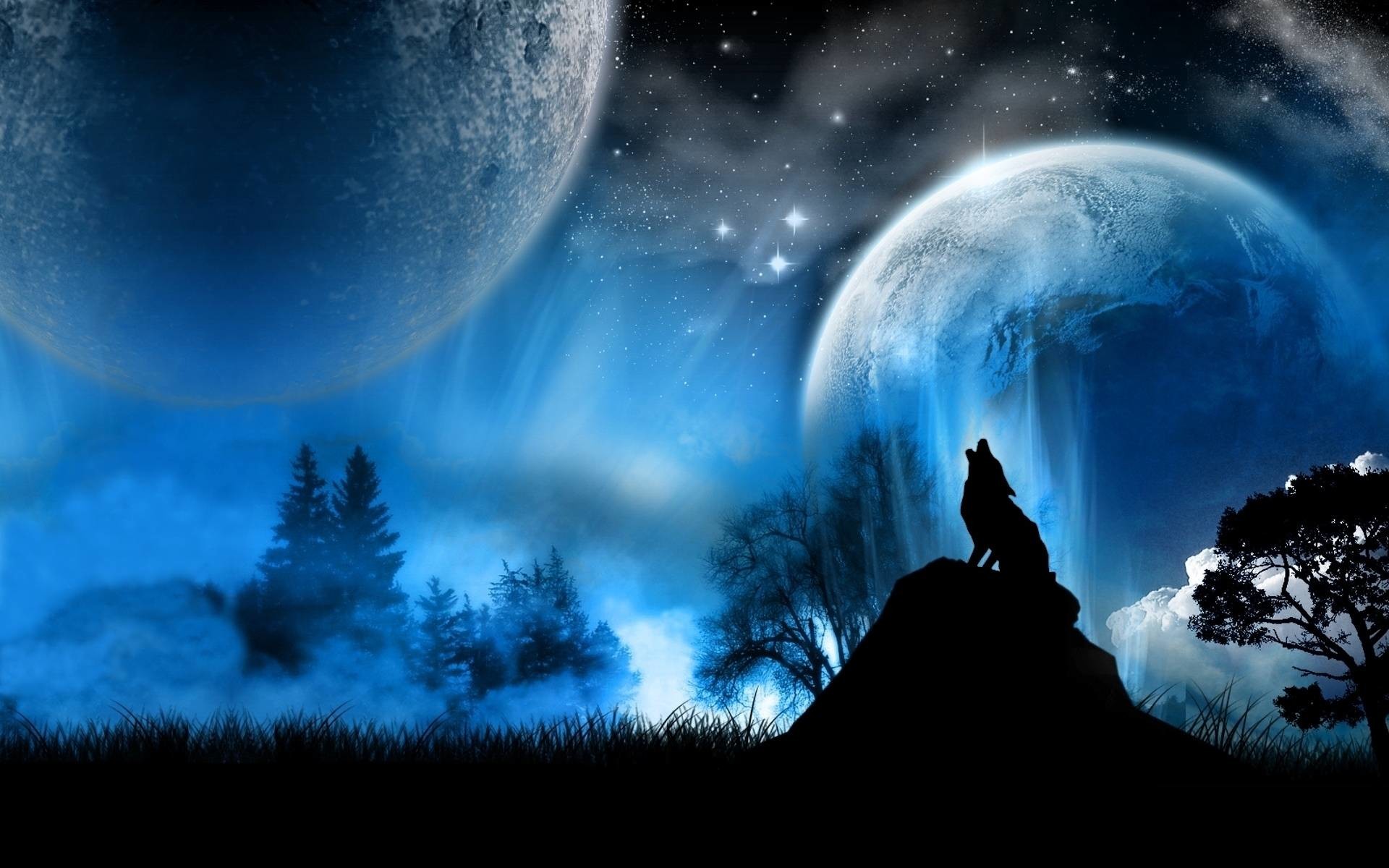 1920x1200 A selection of 10 Images of Wolves in HD Quality