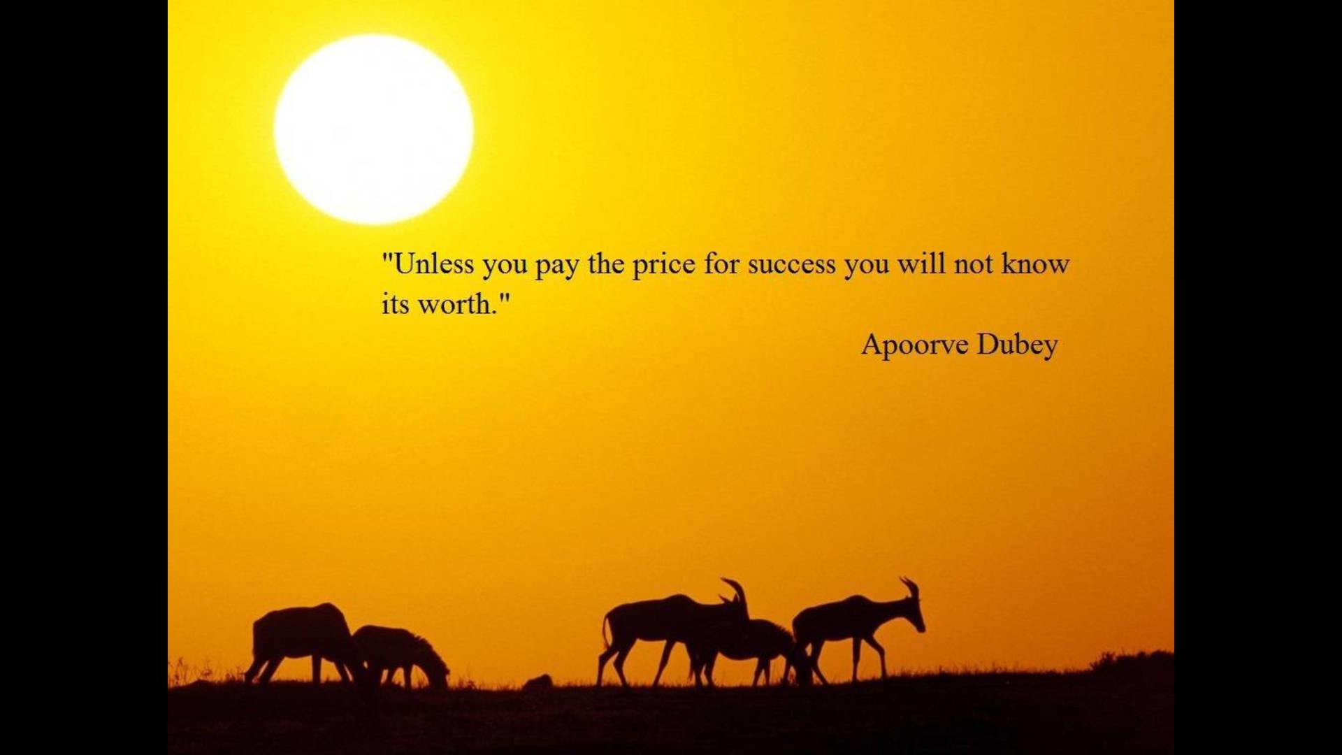 1920x1080 Quotes About Success Wallpaper Success Quotes That Make Sense