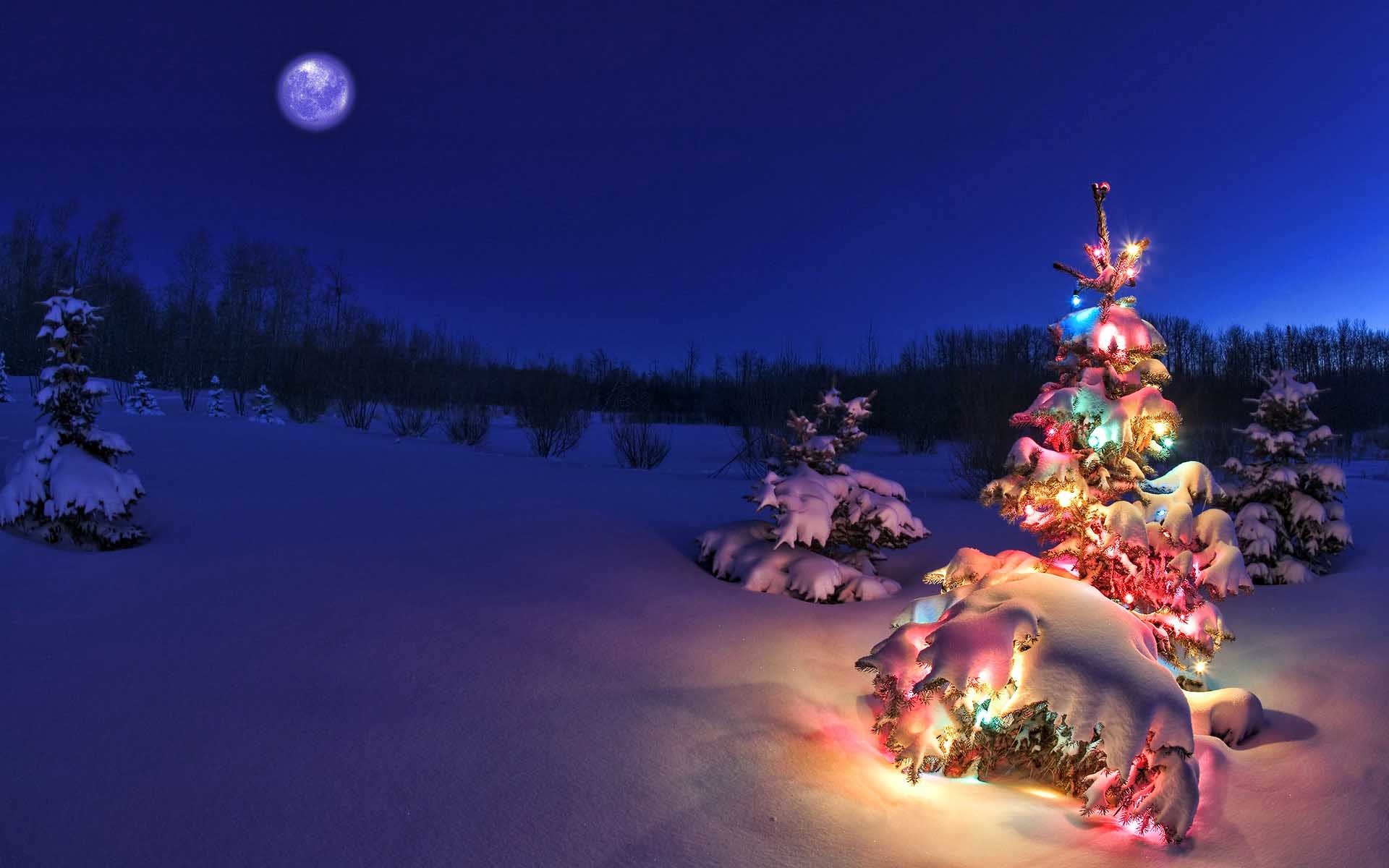 1920x1200 Christmas-Nature-Scenes-HD-Wallpapers-6