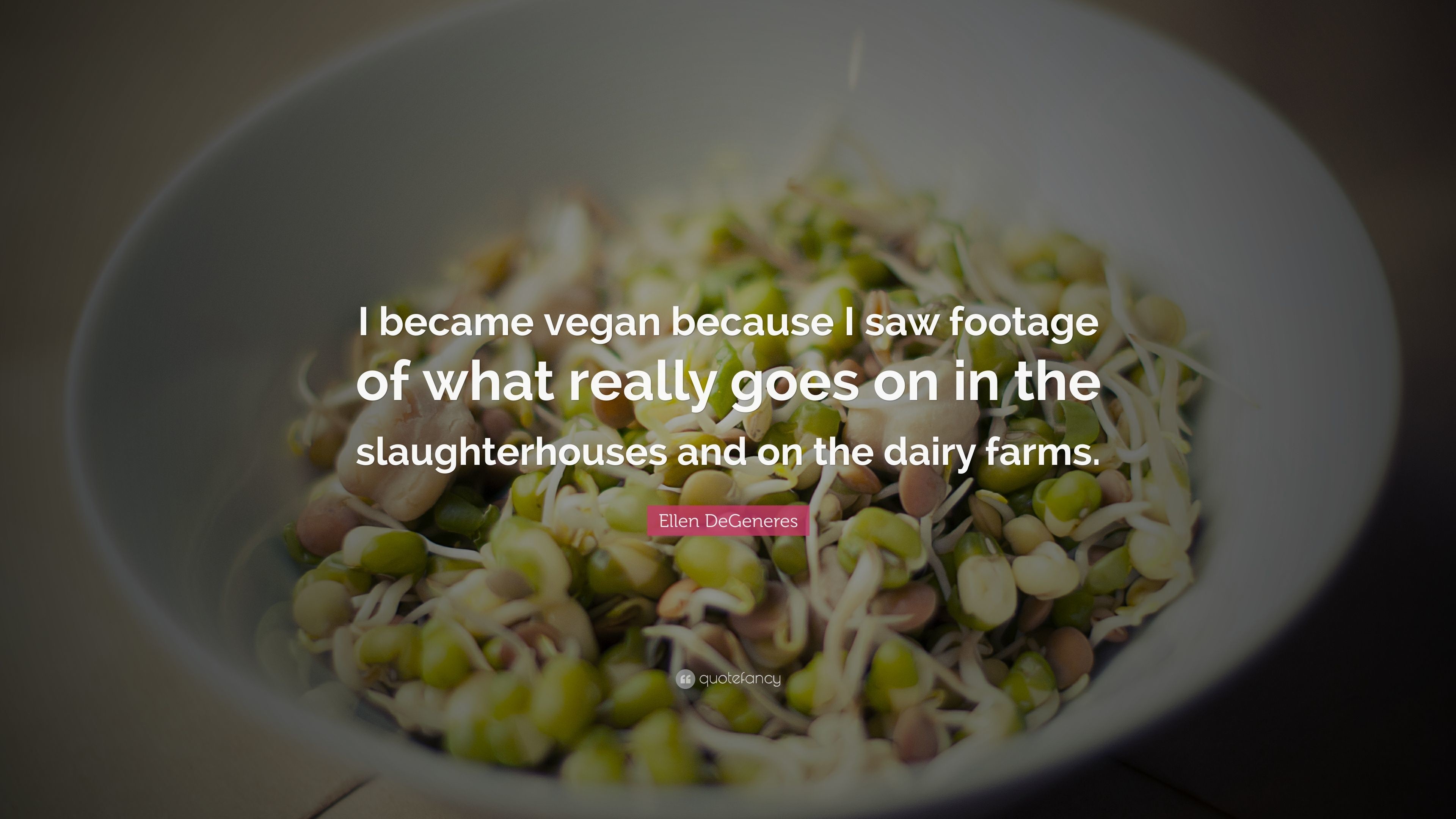 3840x2160 Ellen DeGeneres Quote: “I became vegan because I saw footage of what really  goes