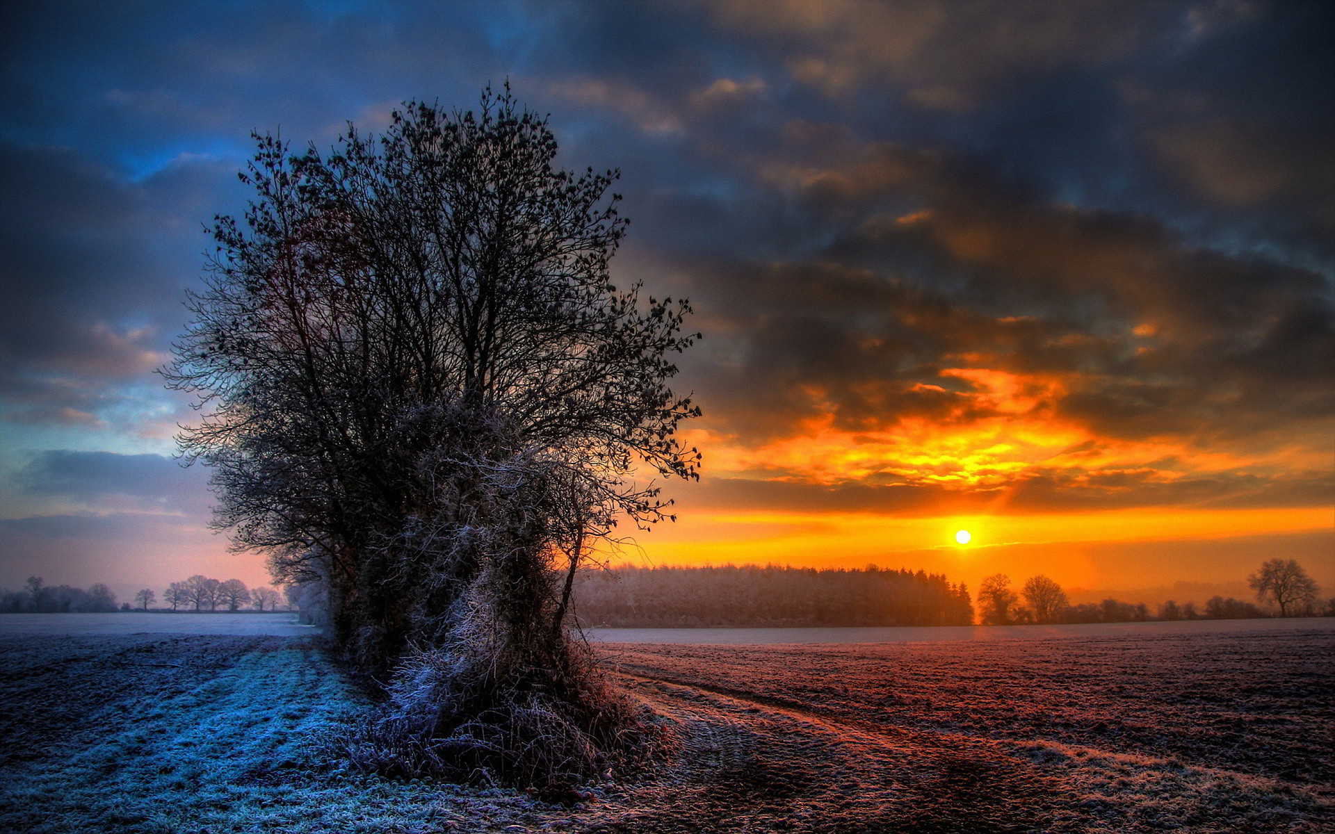1920x1200 Backgrounds of Winter Scenes - Google Search