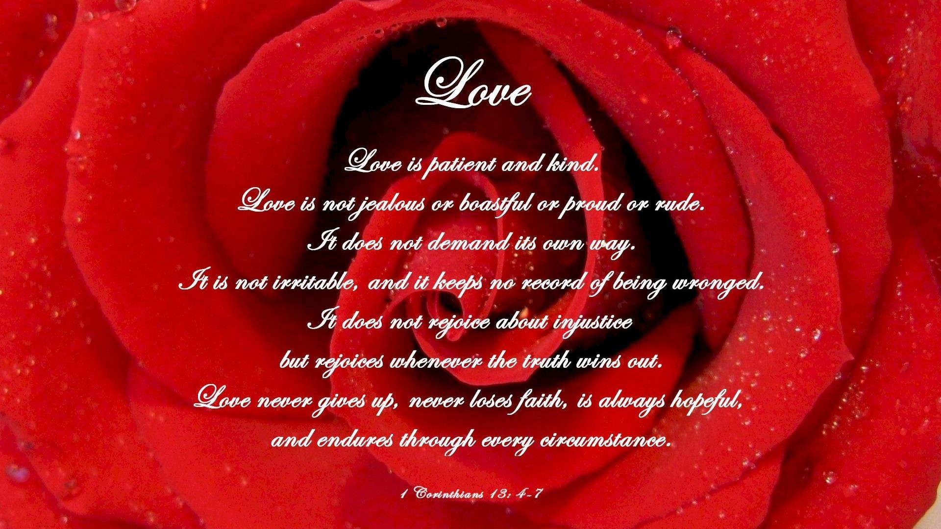 1920x1080 Bible Tag - Red Verse Inside Love Sparkle Rose Bible Wallpaper Flower Full  Screen for HD