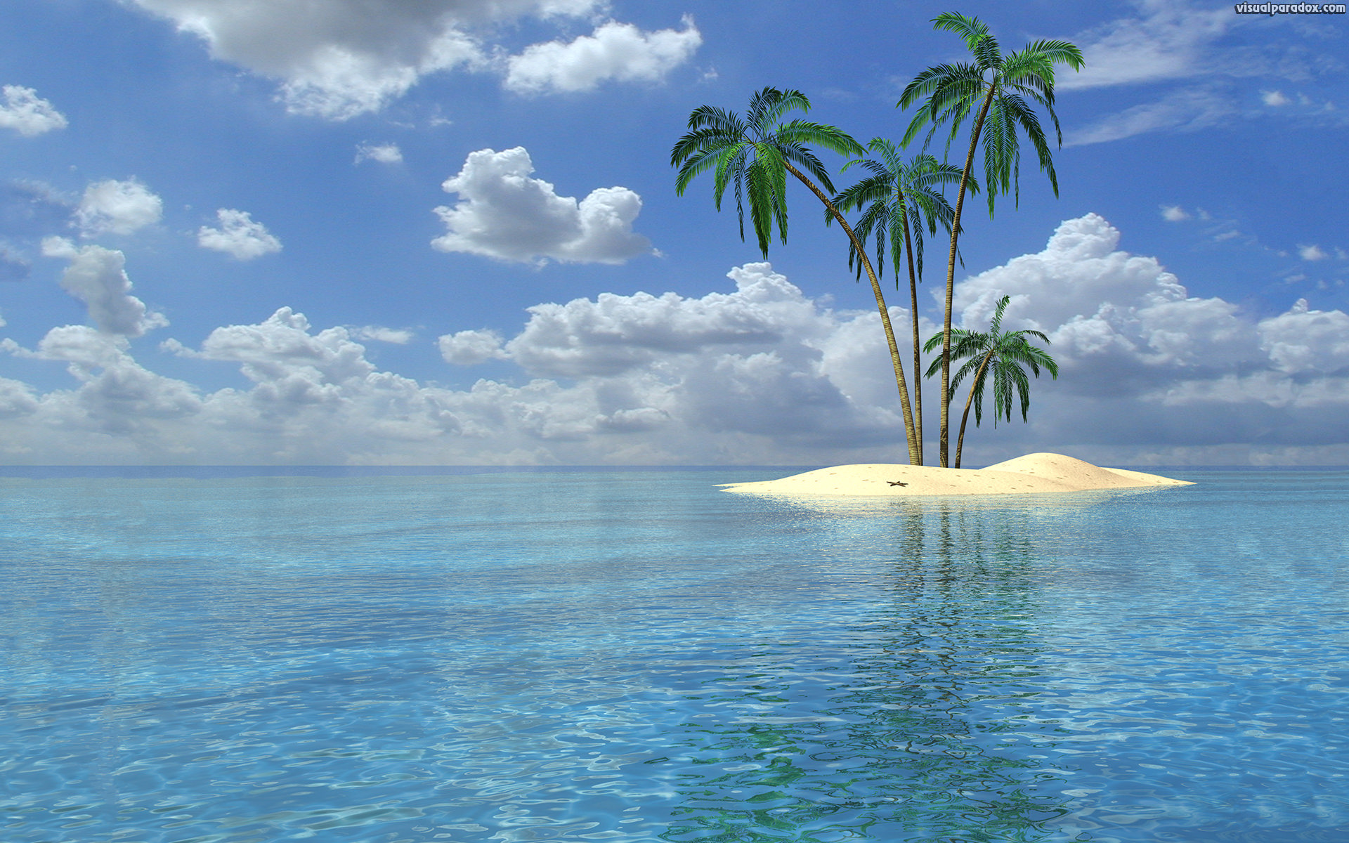 Palm Tree Beaches Wallpapers Images