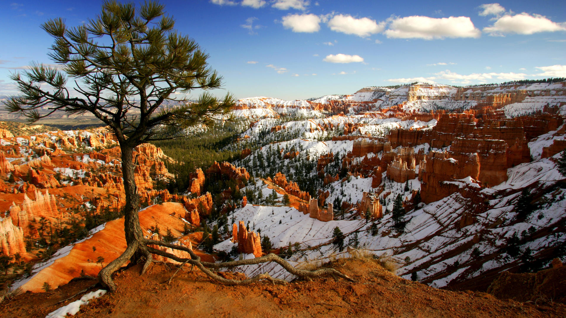 1920x1080 Download Background - Alone on the Rim, Bryce Canyon National Park, Utah -  Free Cool Backgrounds and Wallpapers for your Desktop Or Laptop.