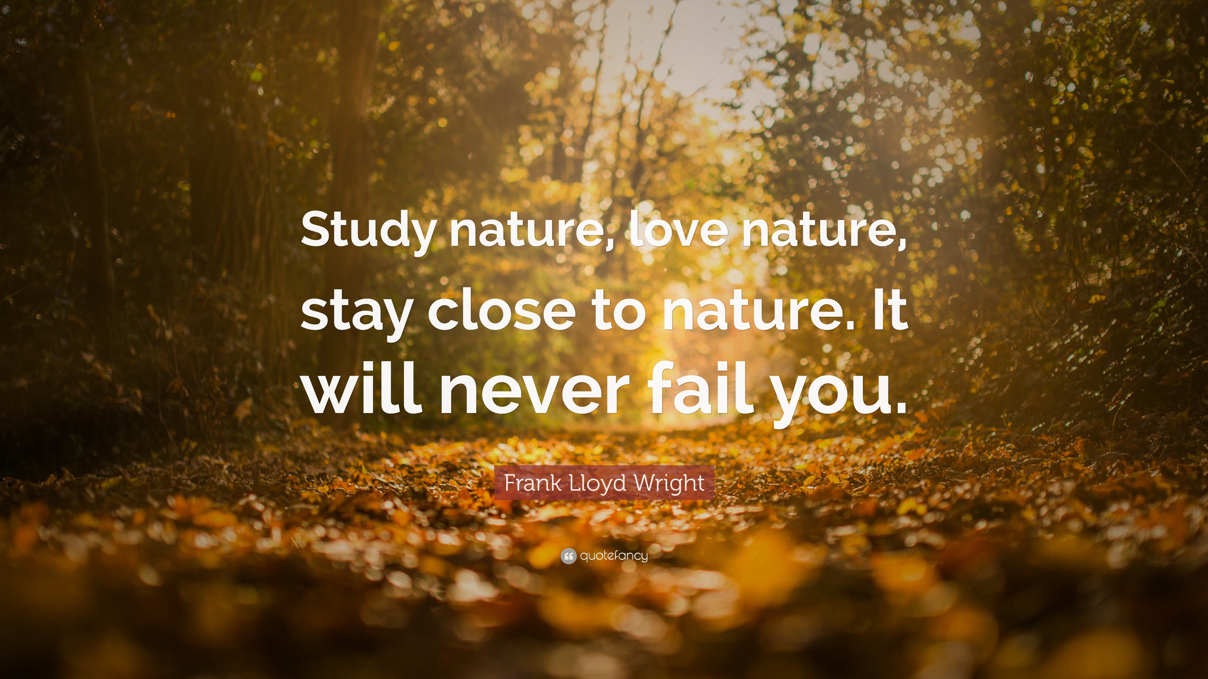 3840x2160 Frank Lloyd Wright Quote: “Study nature, love nature, stay close to nature