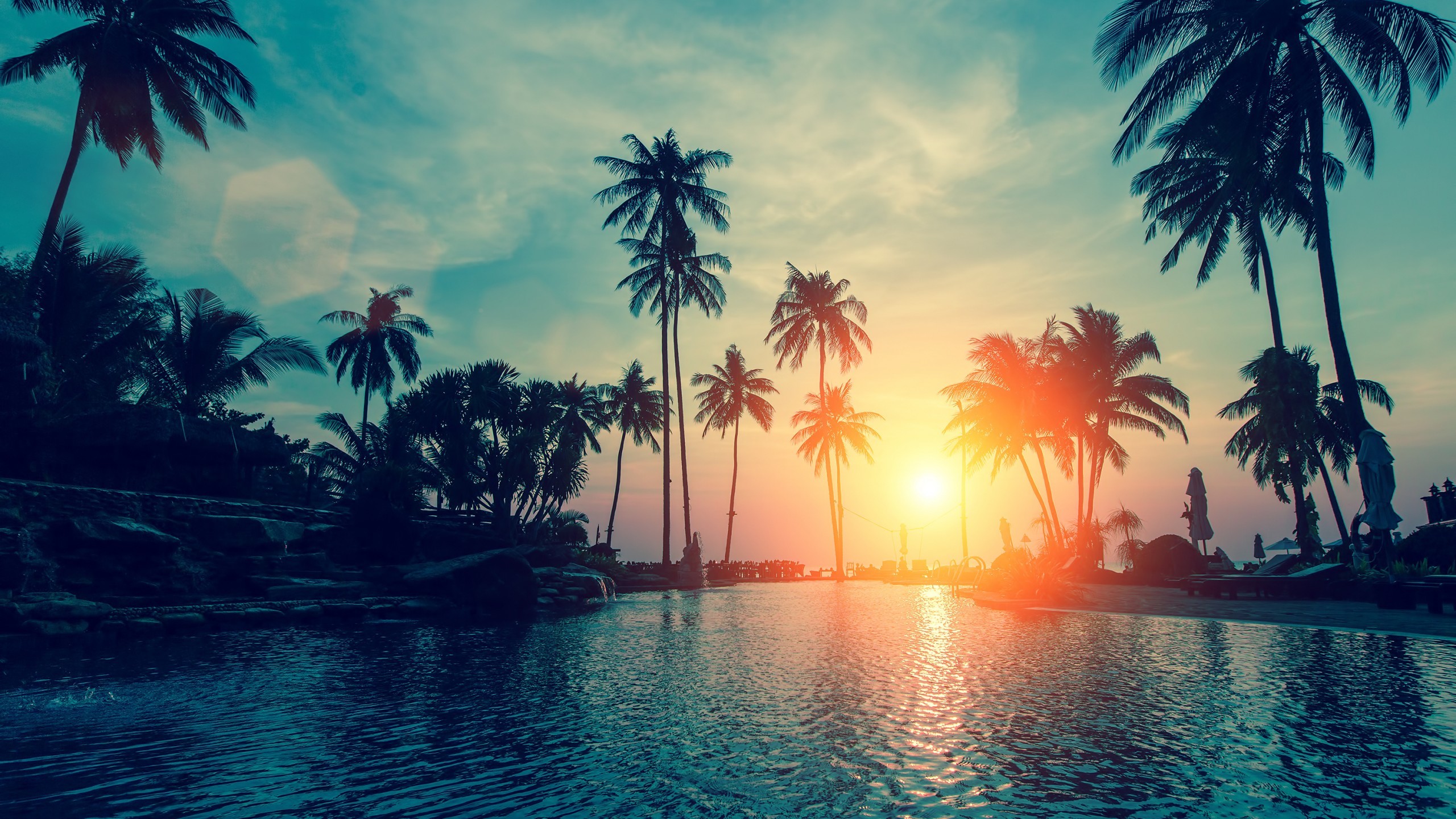 2560x1440 Tags: Sunset, Palm trees, Tropical beach ...
