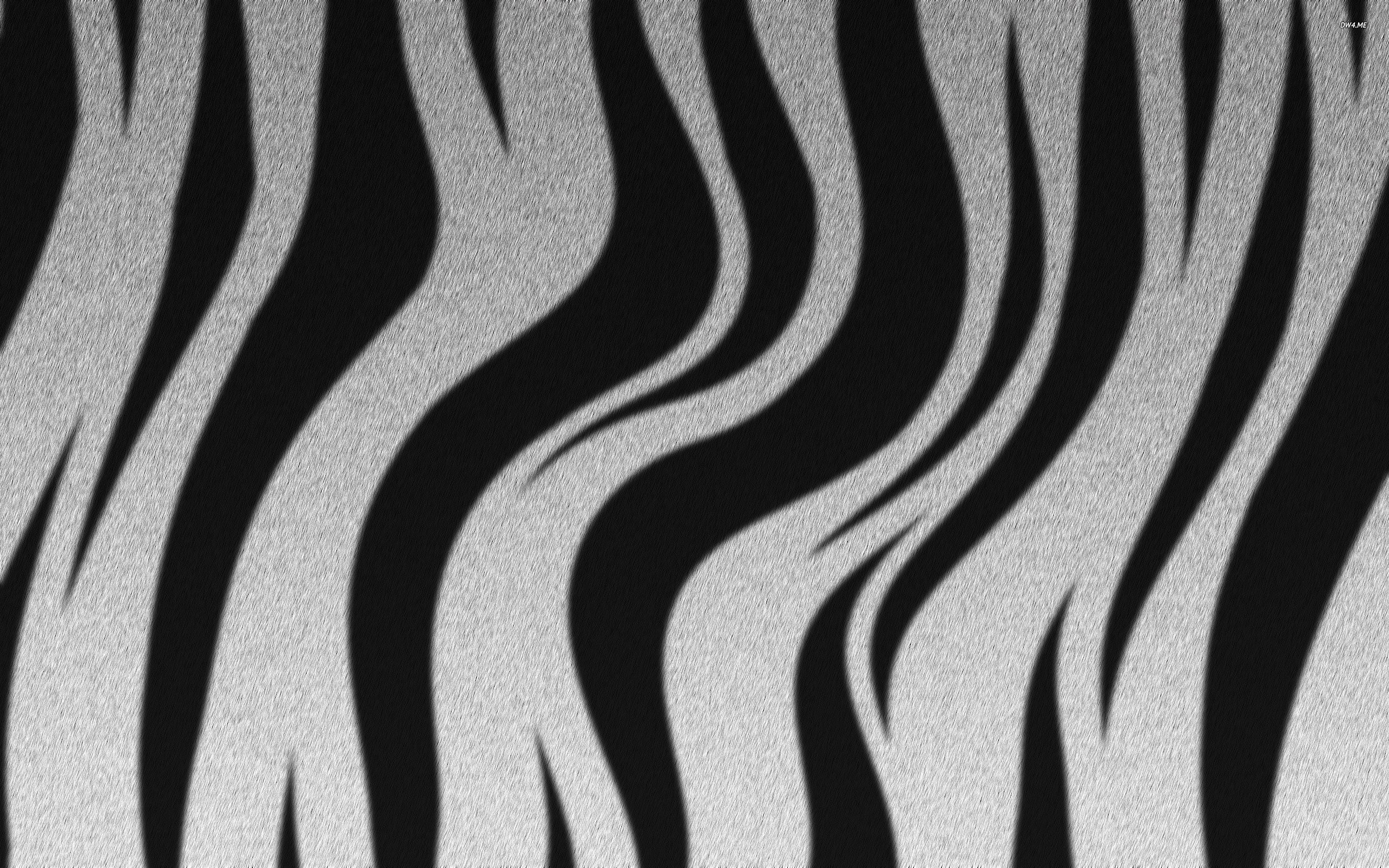 2560x1600 Zebra Stripes