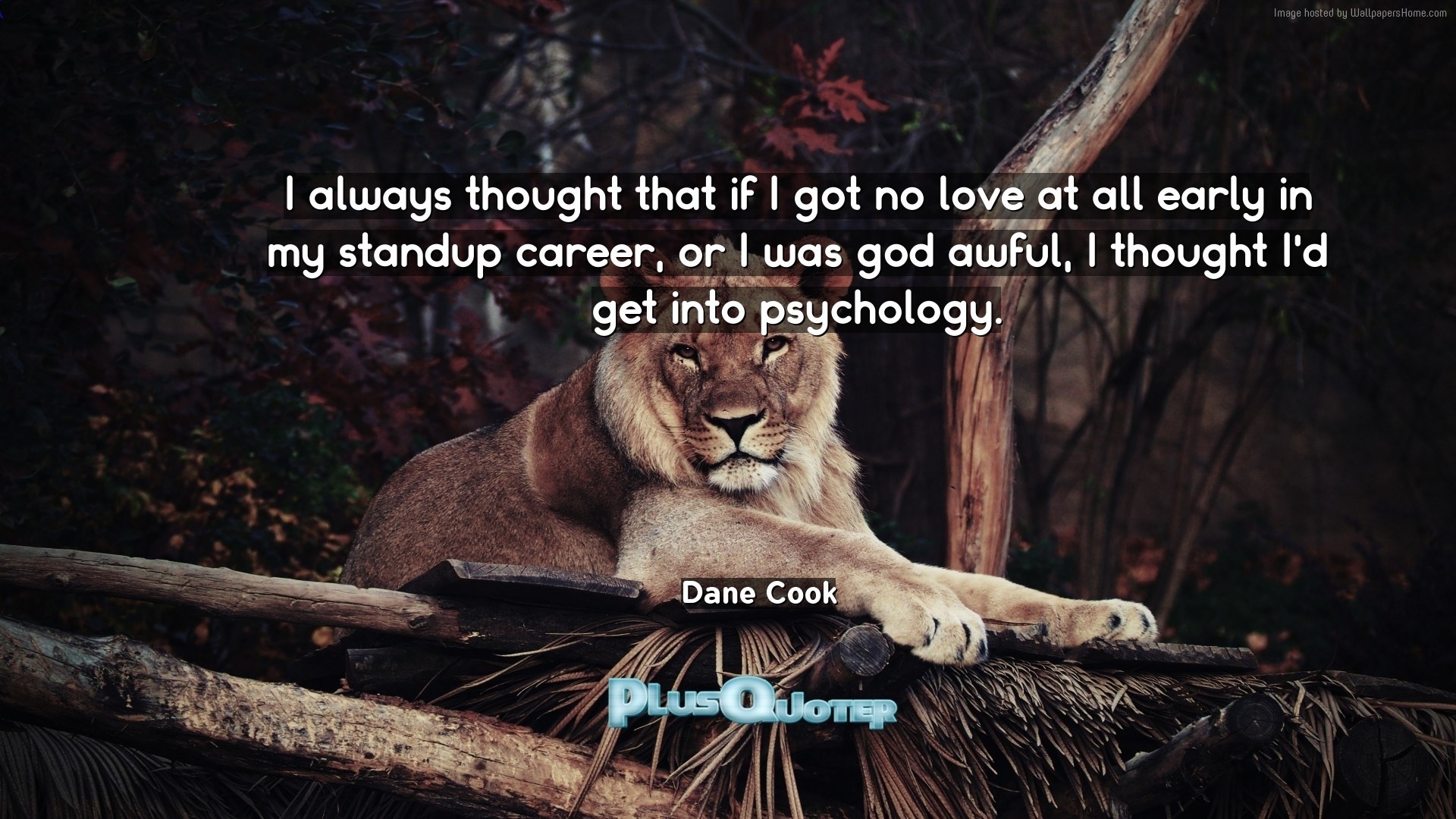 1920x1080 Download Wallpaper with inspirational Quotes- "I always thought that if I  got no love. “