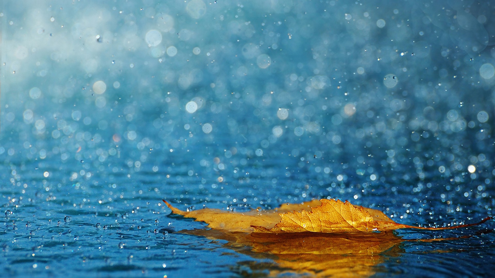 1920x1080 Preview wallpaper leaf, drops, rain, autumn, water 