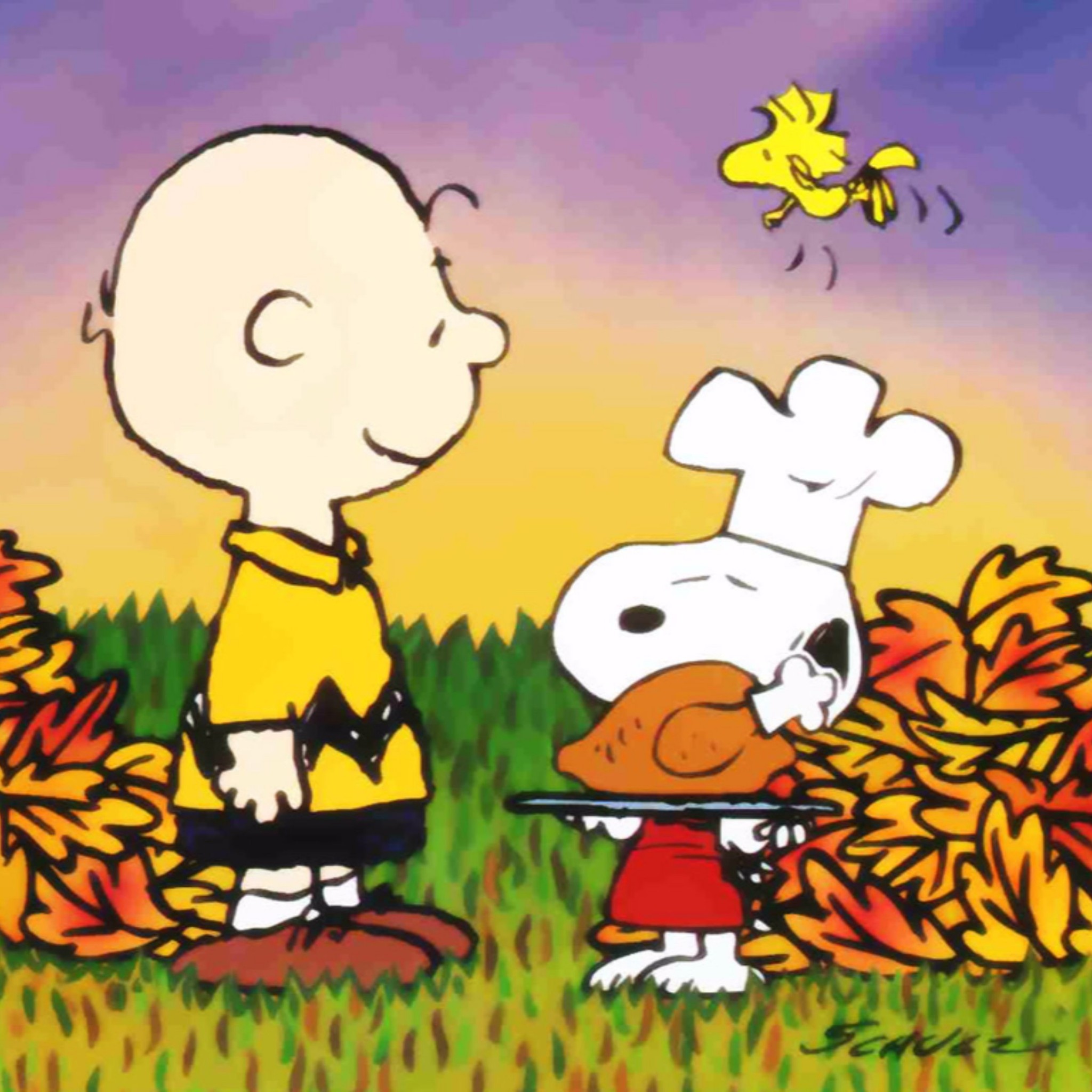 2048x2048 Related to Snoopy Happy Thanksgiving 4K Wallpaper