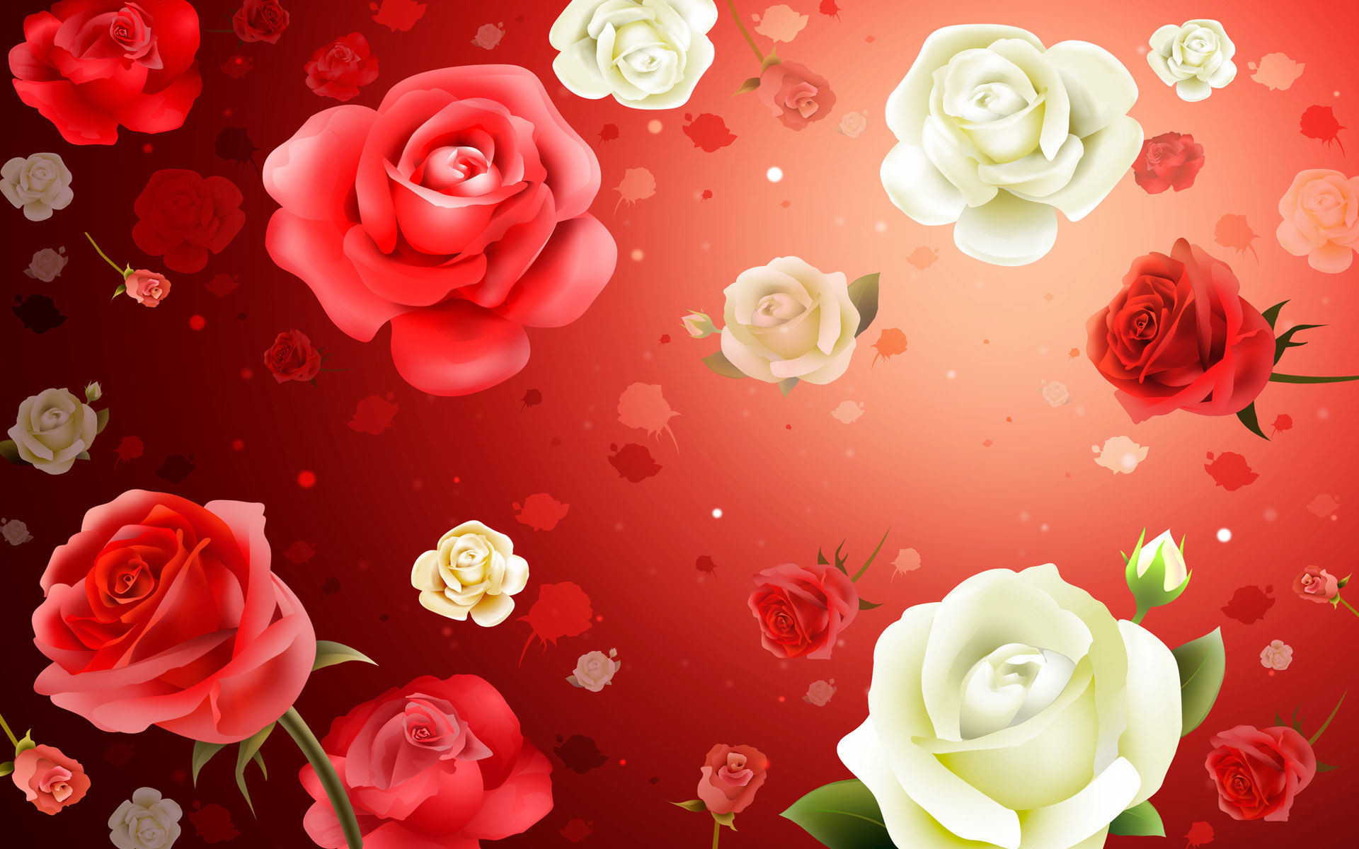 1920x1200 Pictures Of Pretty Roses