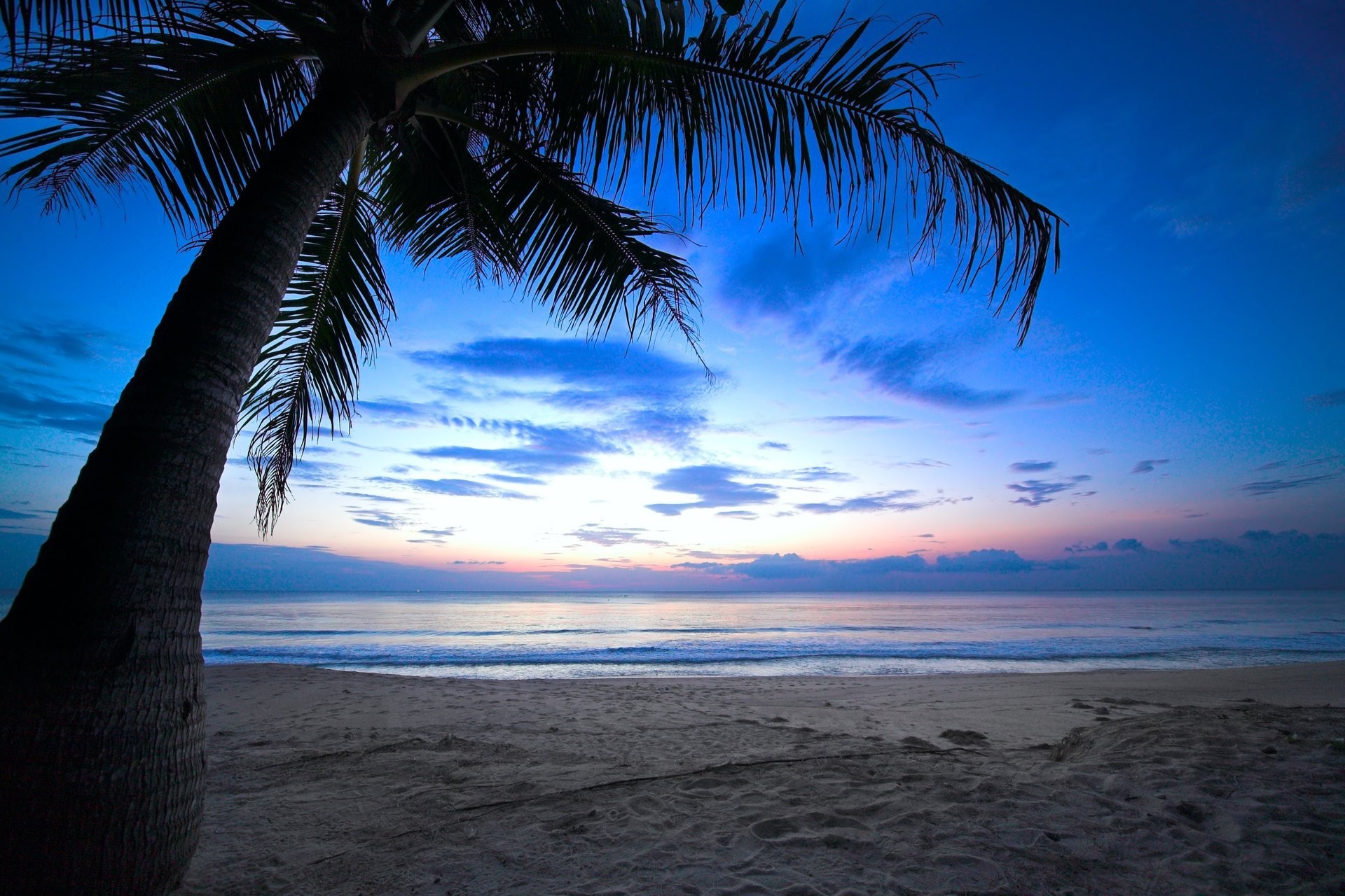 1920x1280 tropical sunset weeping palm tree cloudy sky caribbean ocean sea dawn  sunlight beach shore nature landscape