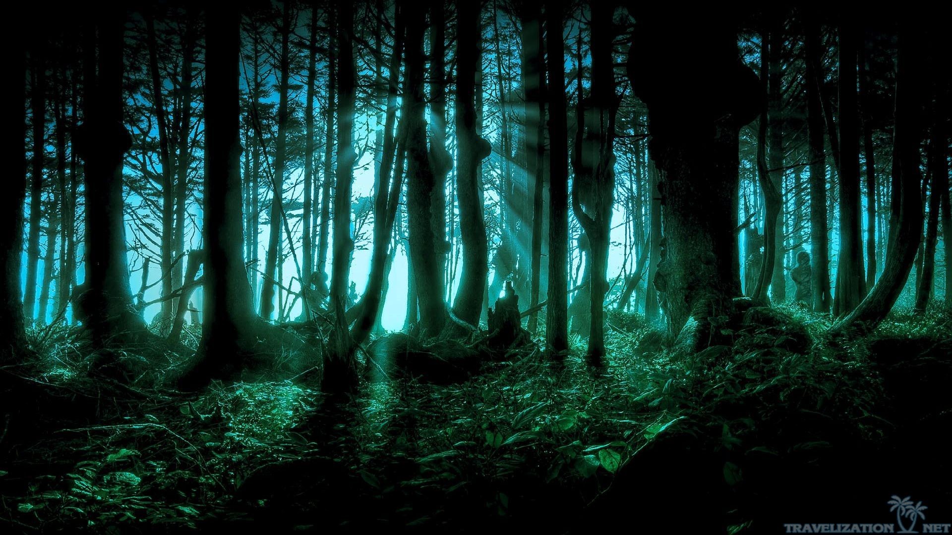 1920x1080 You can find Dark Nature wallpapers in many resolution such as 1024Ã768,  1280Ã1024, 1366Ã768, ...
