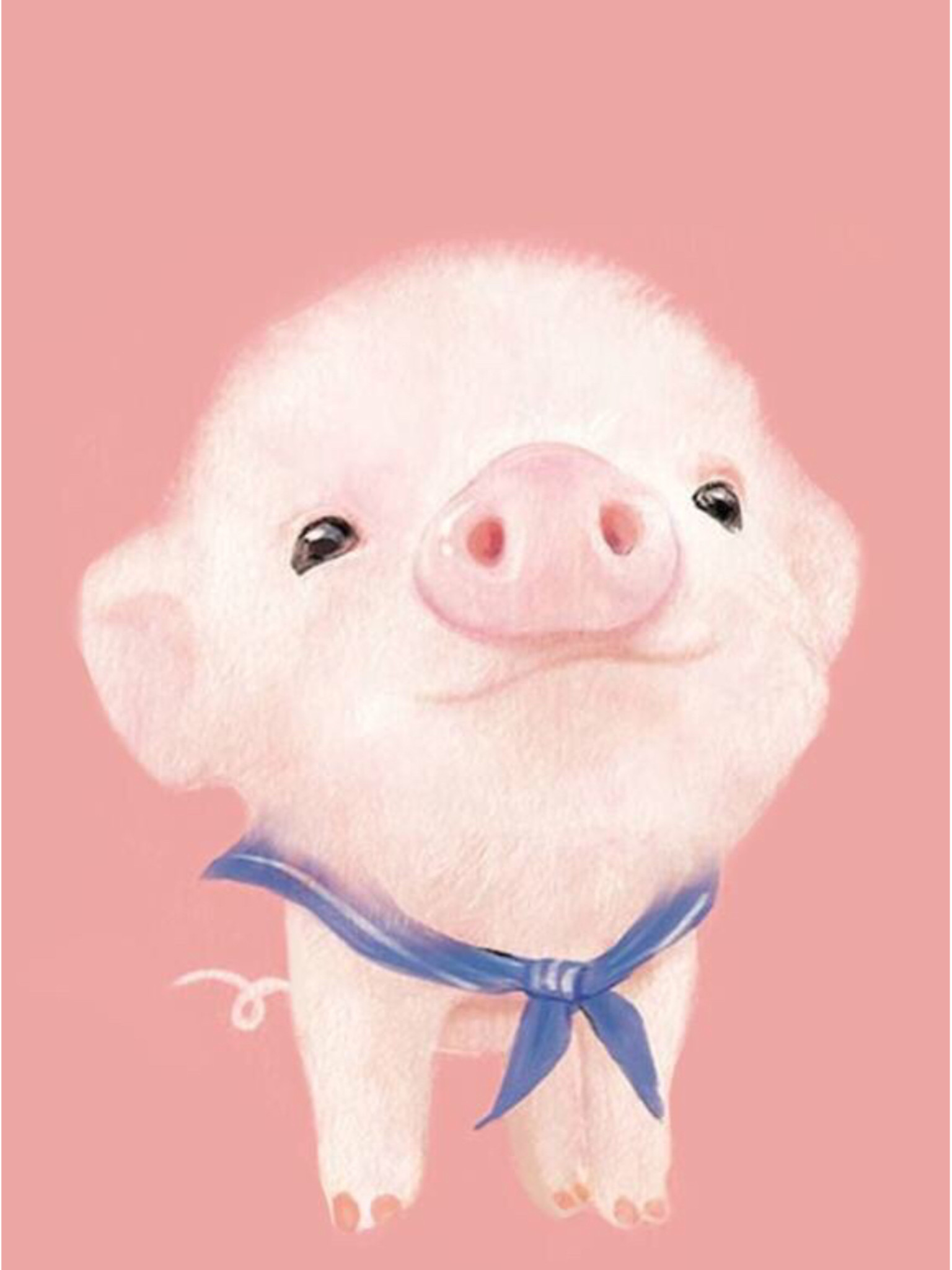 1536x2048 Cute pig wallpaper