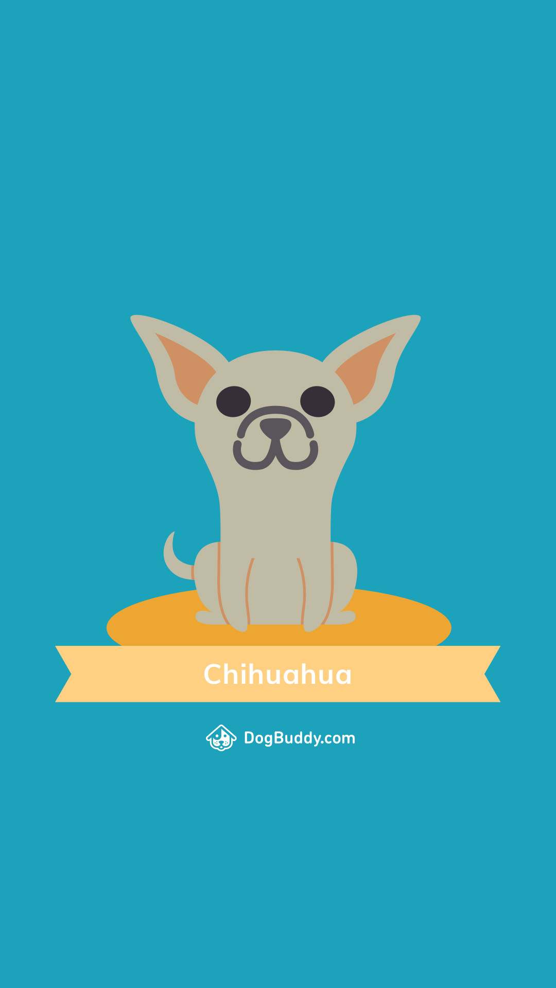 1080x1920 Download: Chihuahua Mobile Woofpaper