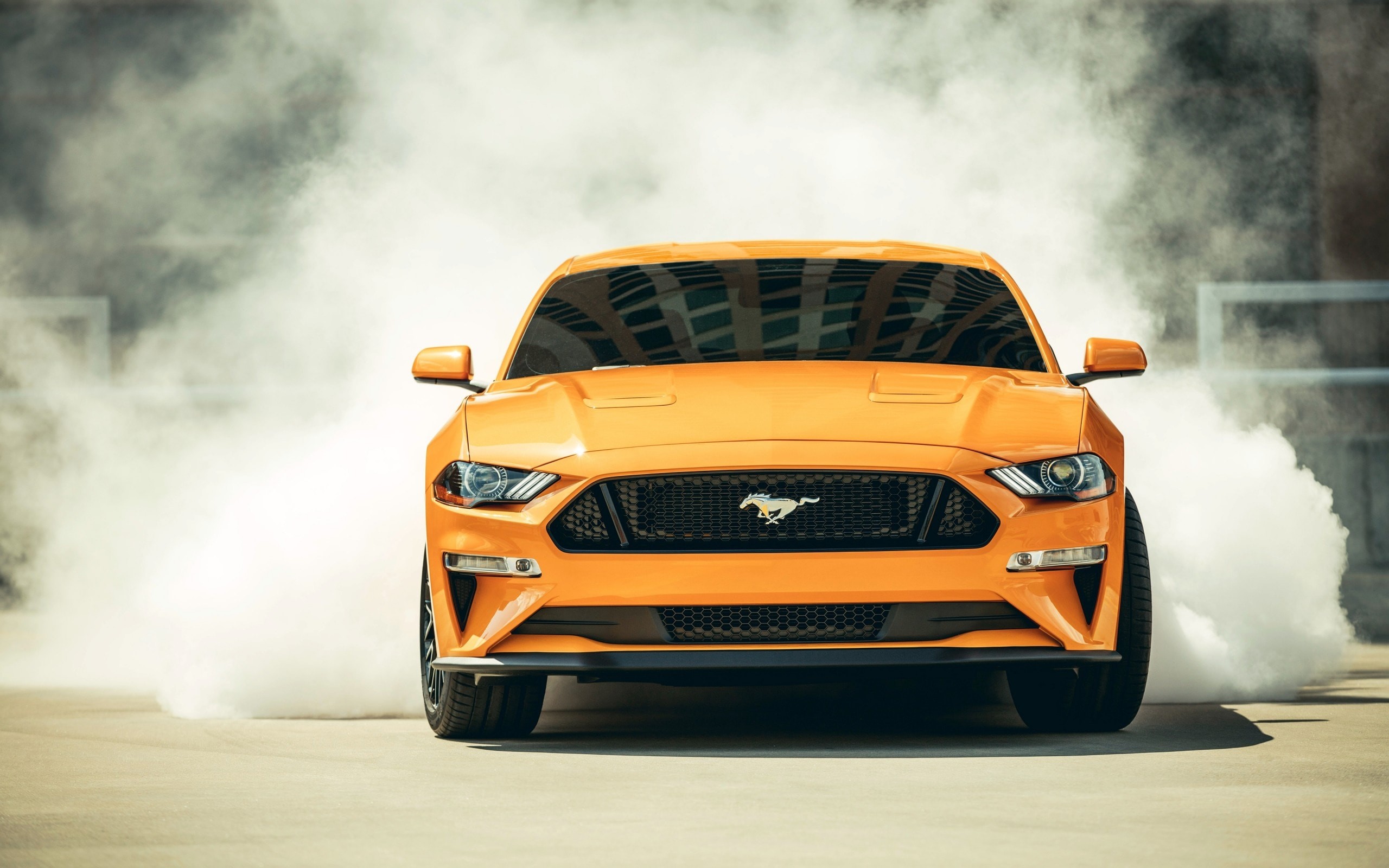 2560x1600 Ford Mustang Gt 2018 Orange Muscle Cars Front View Wallpaper - Image #3361 -