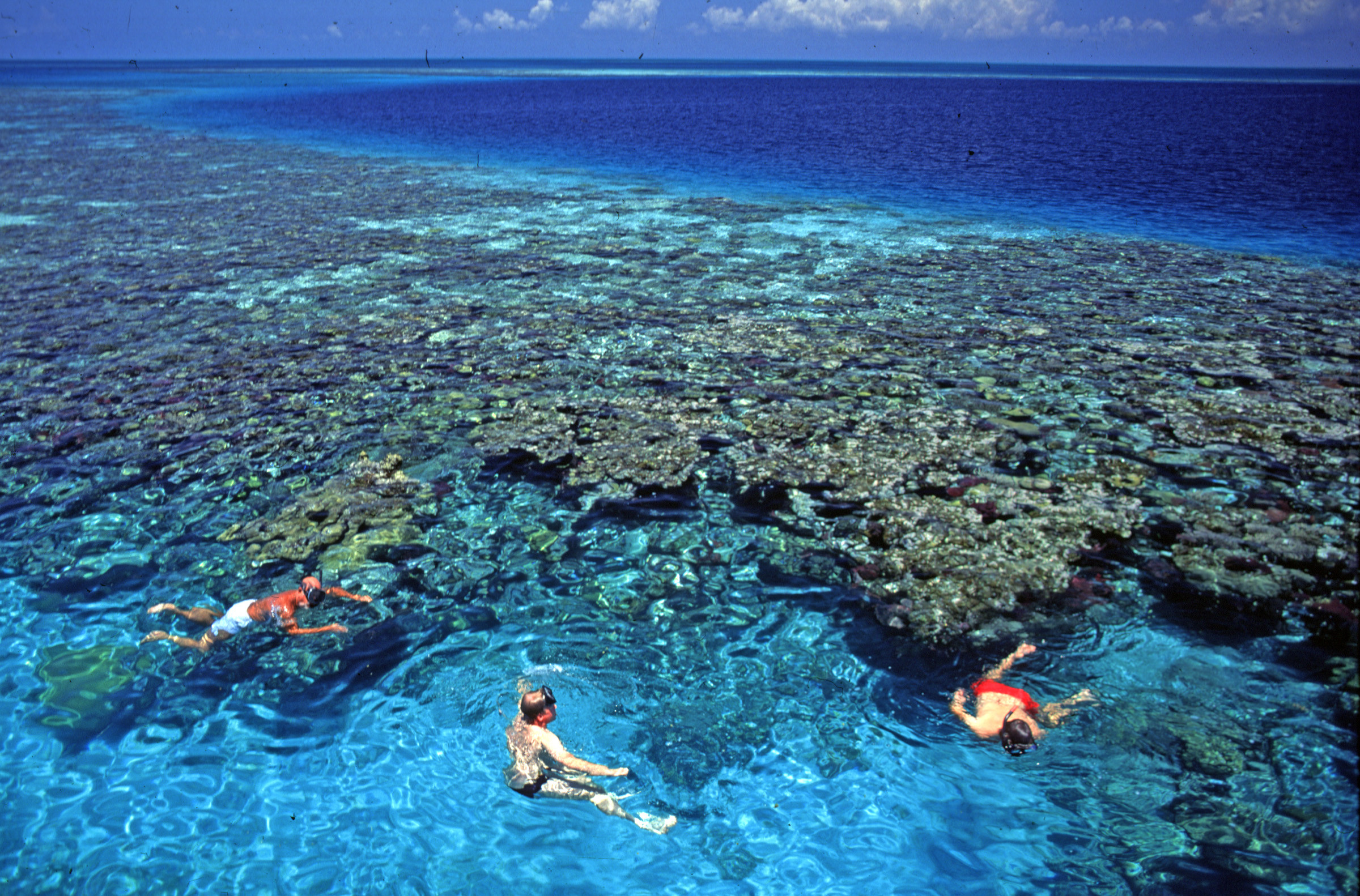 2400x1582 Belize Barrier Reef Top Wallpaper