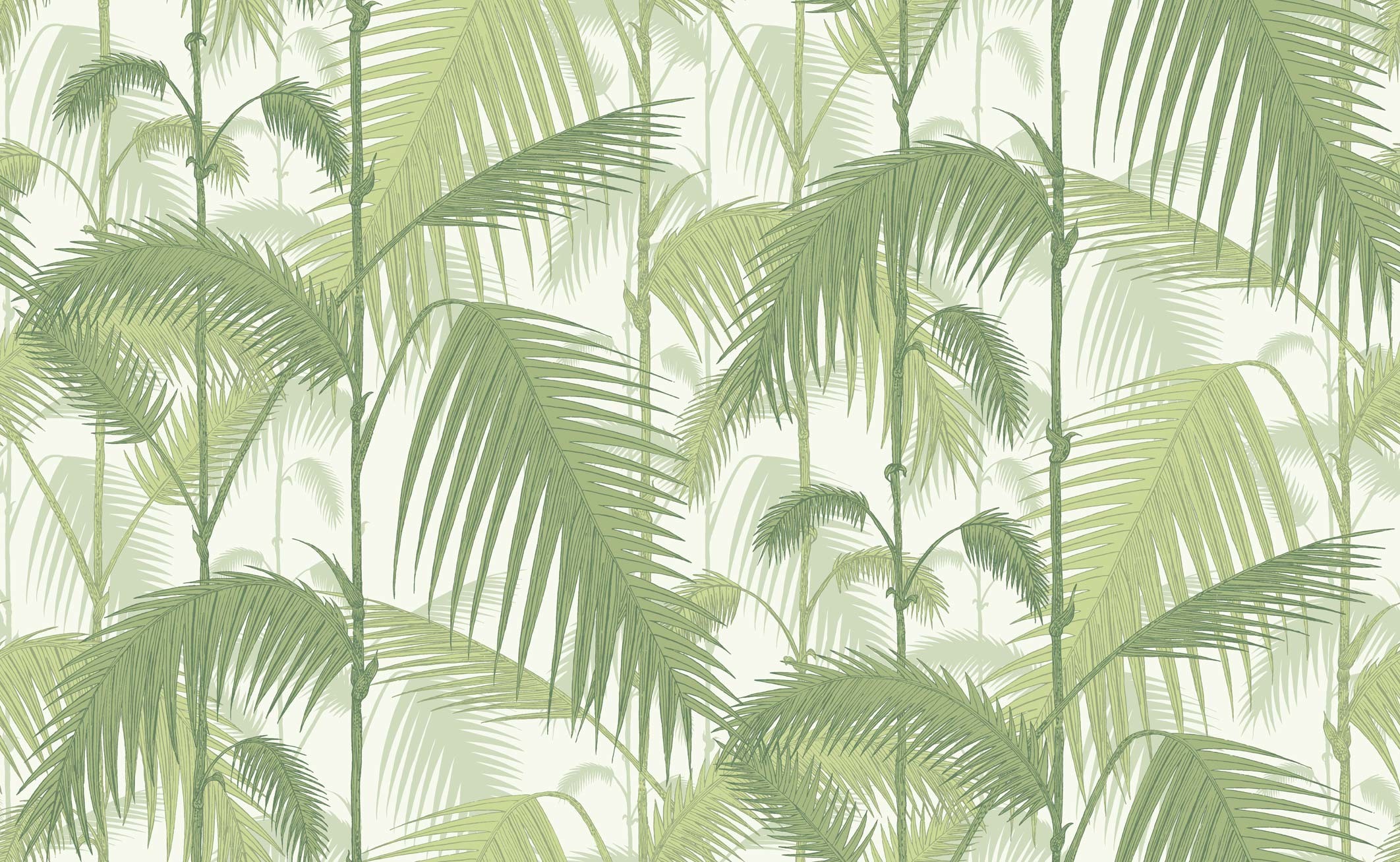 2124x1307 ... Palm Jungle wallpaper - Olive Green on White ...