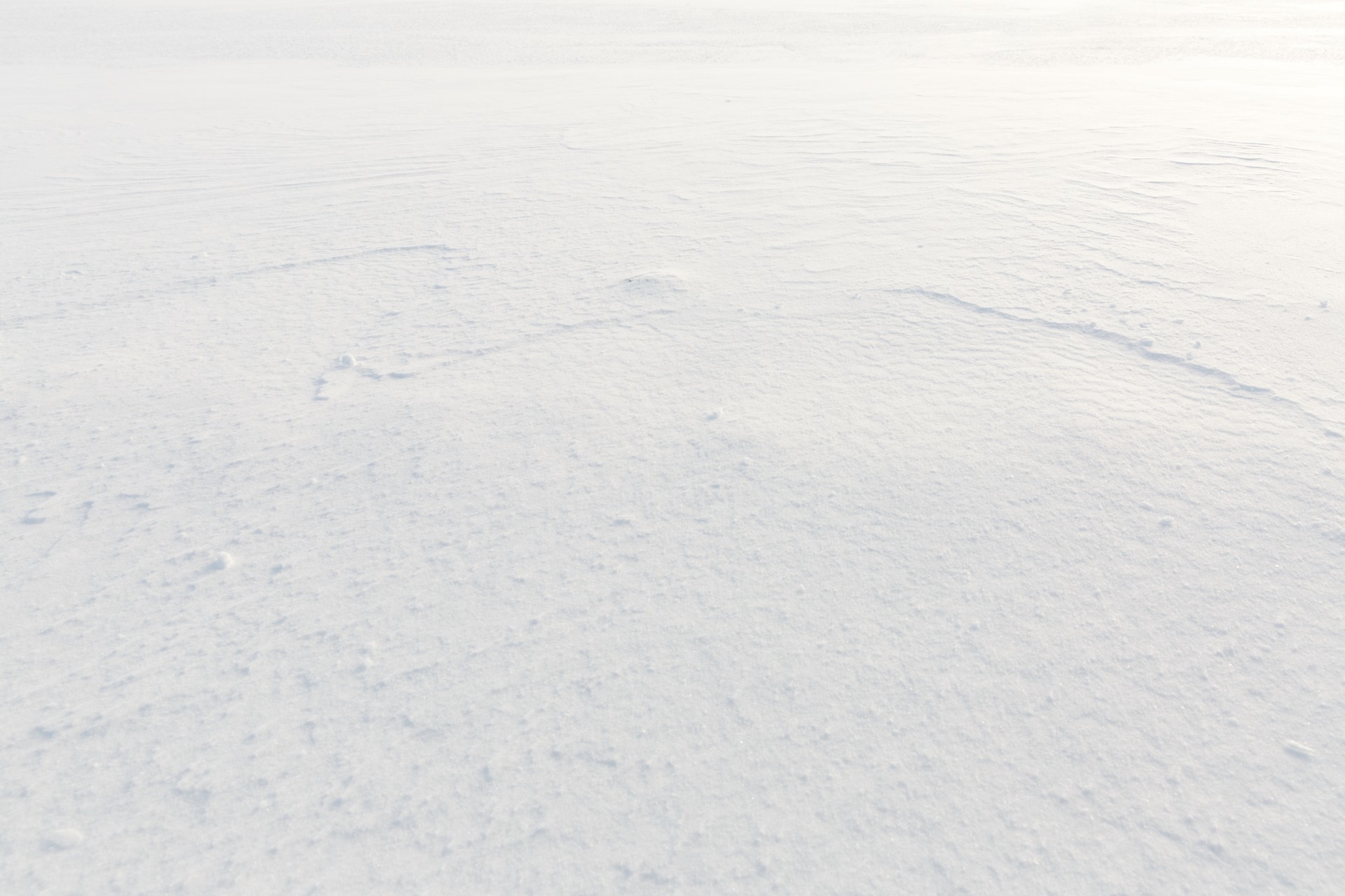 1920x1280 White Snow Background