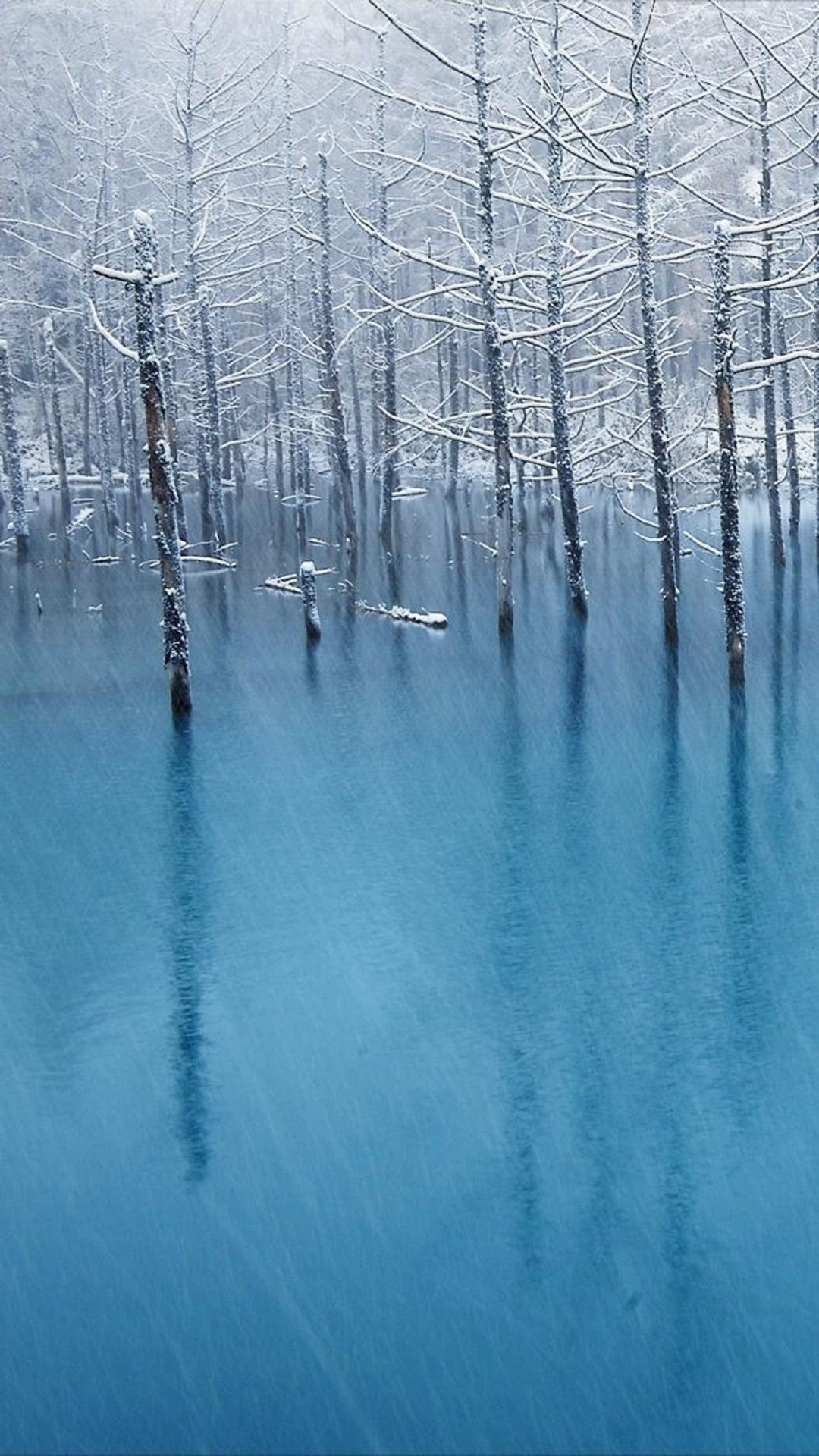 1080x1920 Pure Winter Wither Tree Grove Frozen Lake Landscape