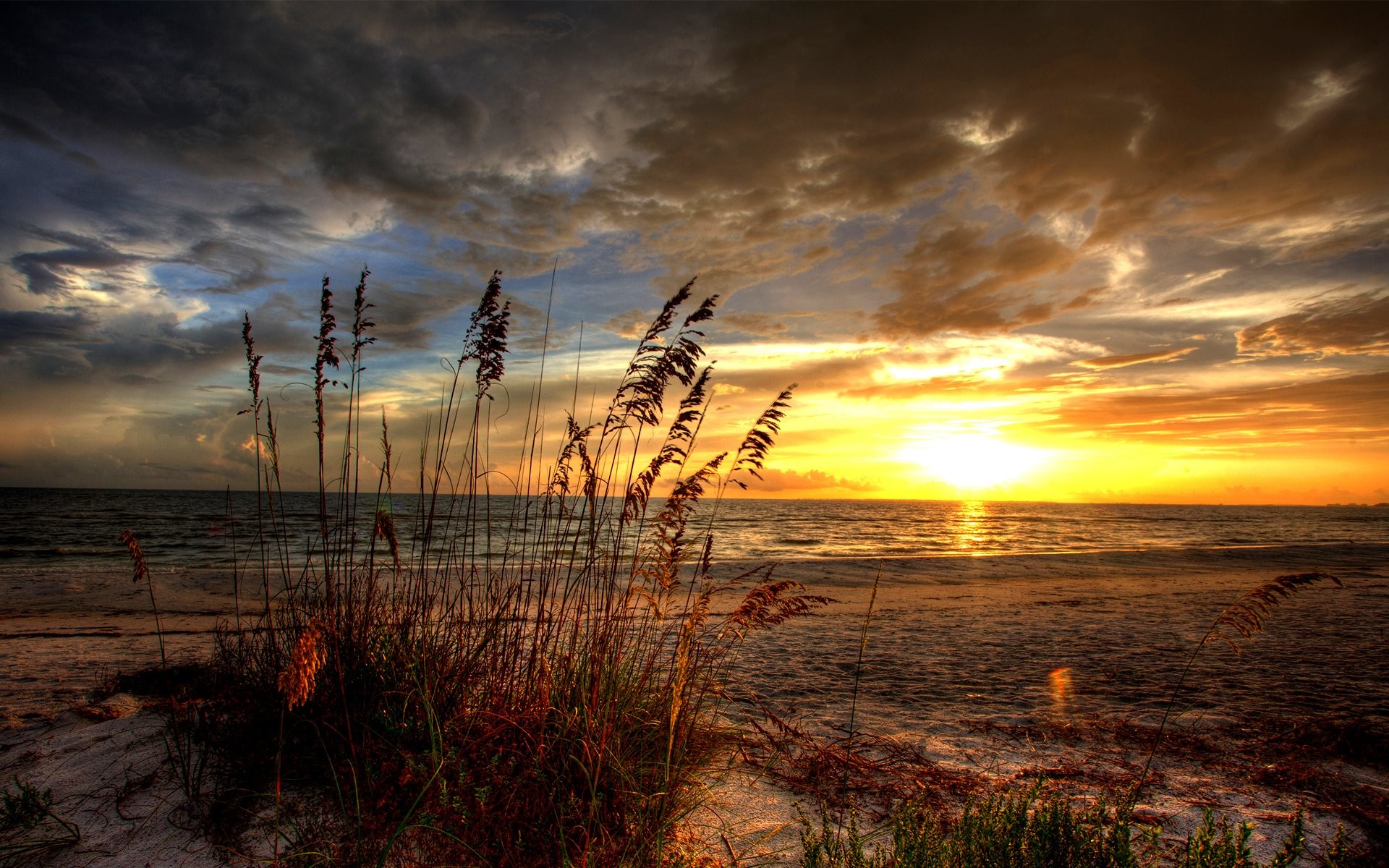 1920x1200 Earth - Sunrise Landscape Scenic HDR Ocean Beach Sand Cloud Sun Wallpaper