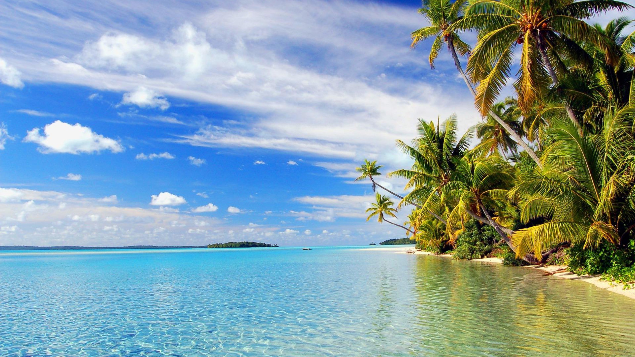 2560x1440 Tropical blue sea clear sky white sand beach view theme HD 1080p .