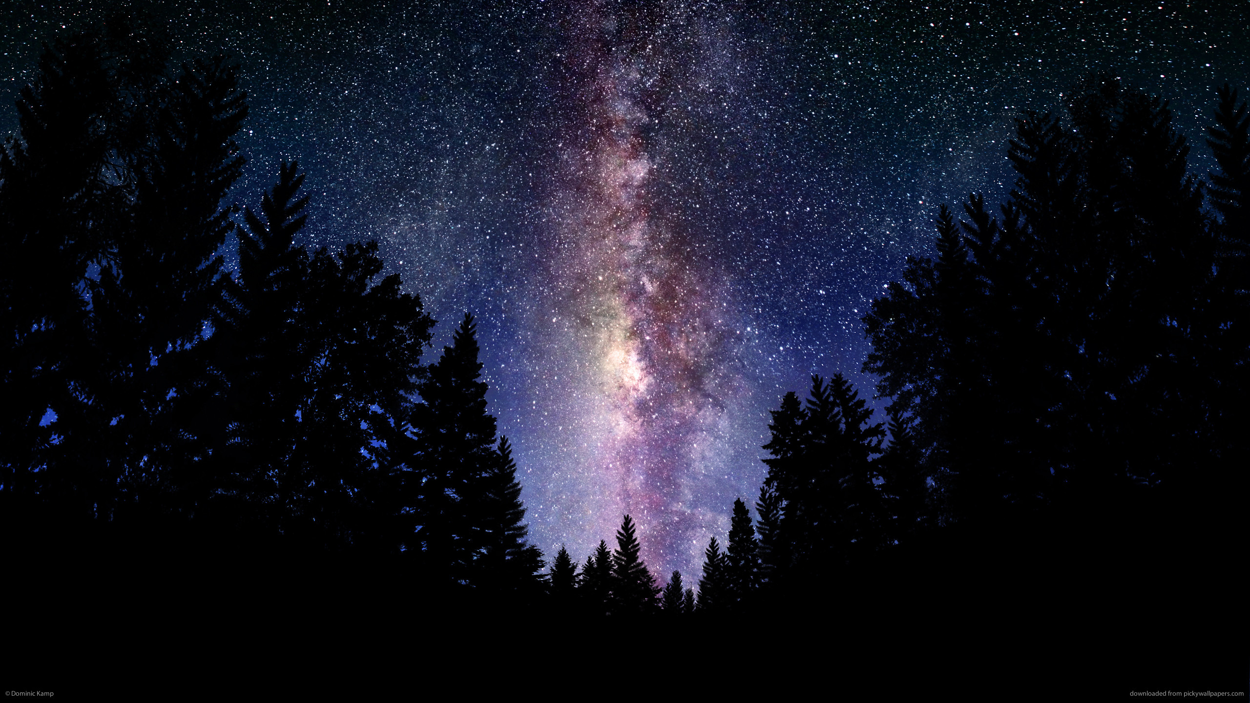 2560x1440 The Milky Way Galaxy for 