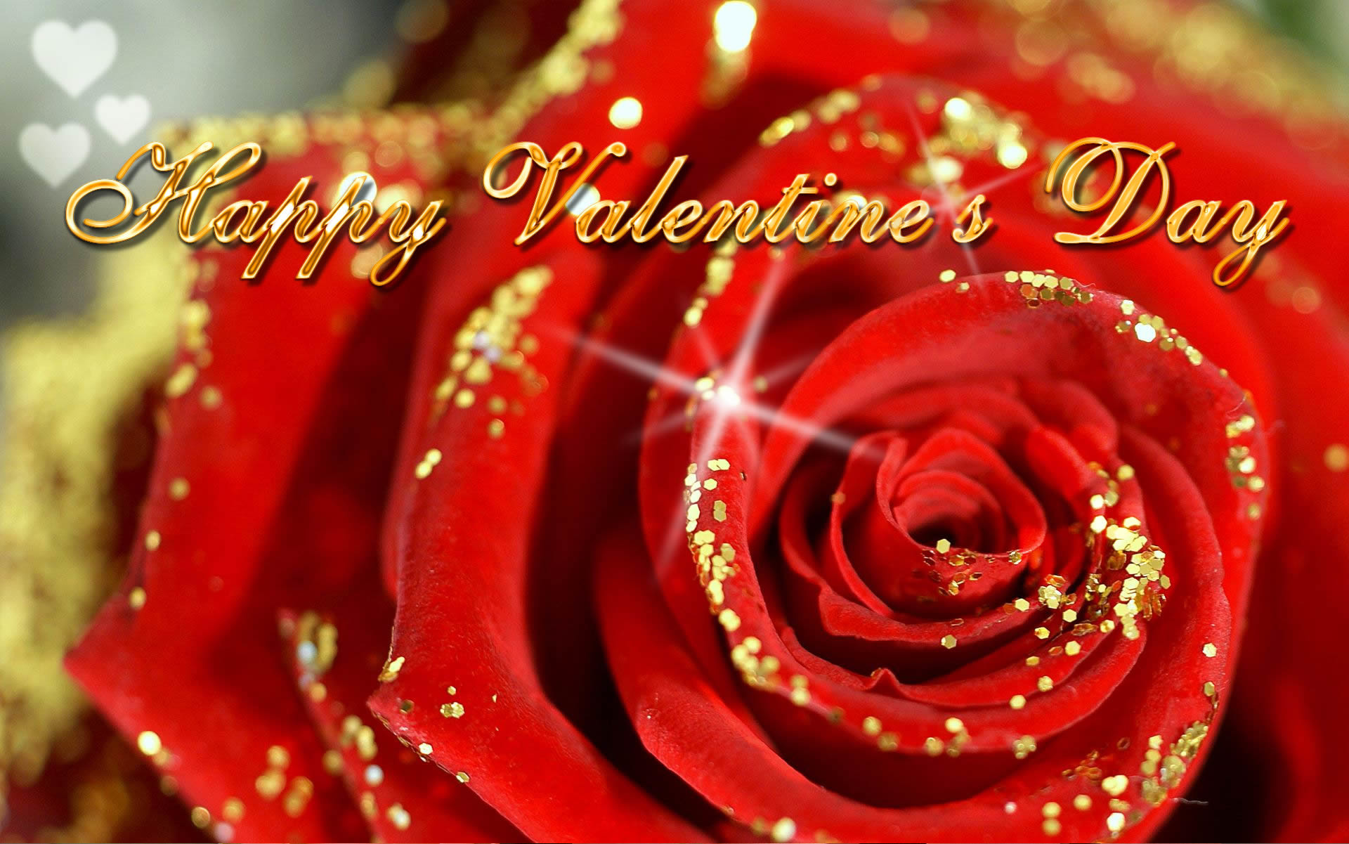 1920x1201 Happy Valentine's Day red rose