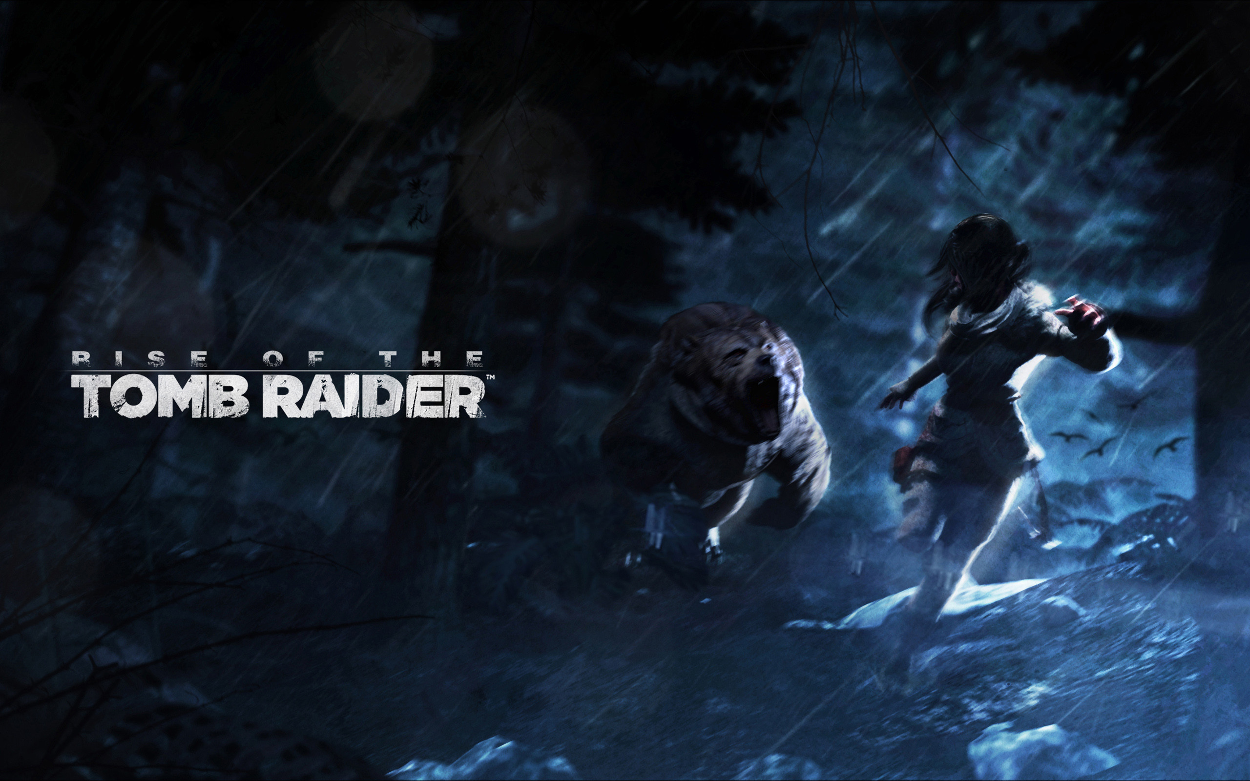 2560x1600 Rise of the Tomb Raider Artwork