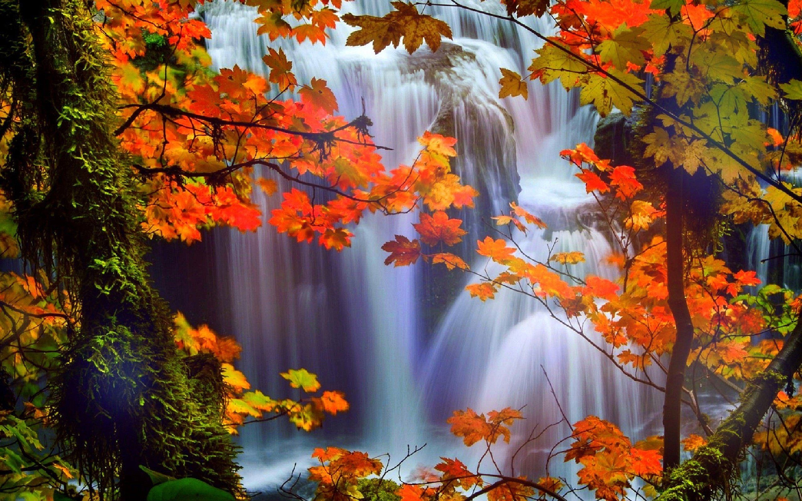 2560x1600 Image for Beautiful Waterfalls With Flowers Wallpaper Desktop Background  #89bw5