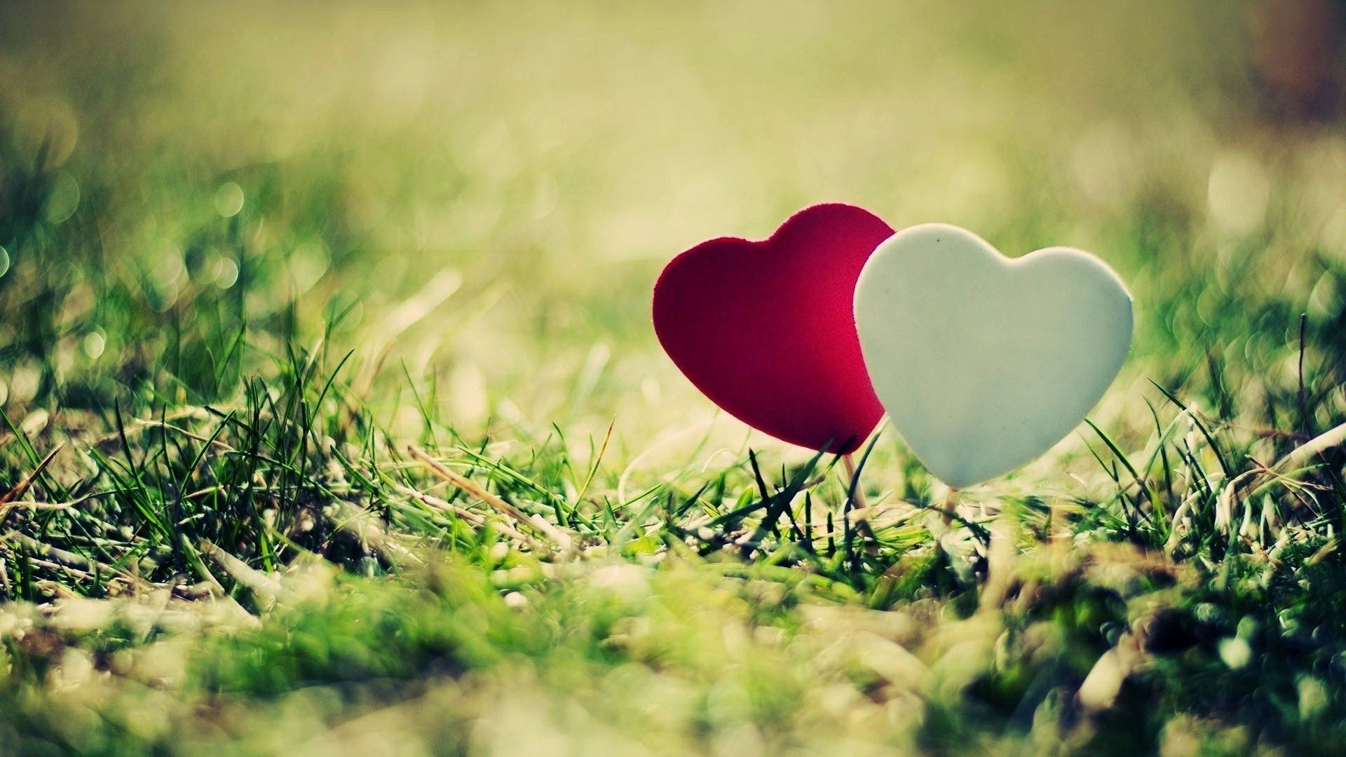 1920x1080 free download cute love wallpapers for mobile #938323. Resolation: 1024x768  ...
