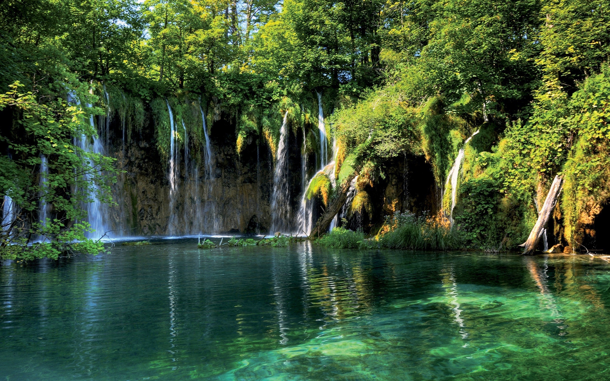 2560x1600 Landscape waterfall in the forest HD Desktop Wallpaper