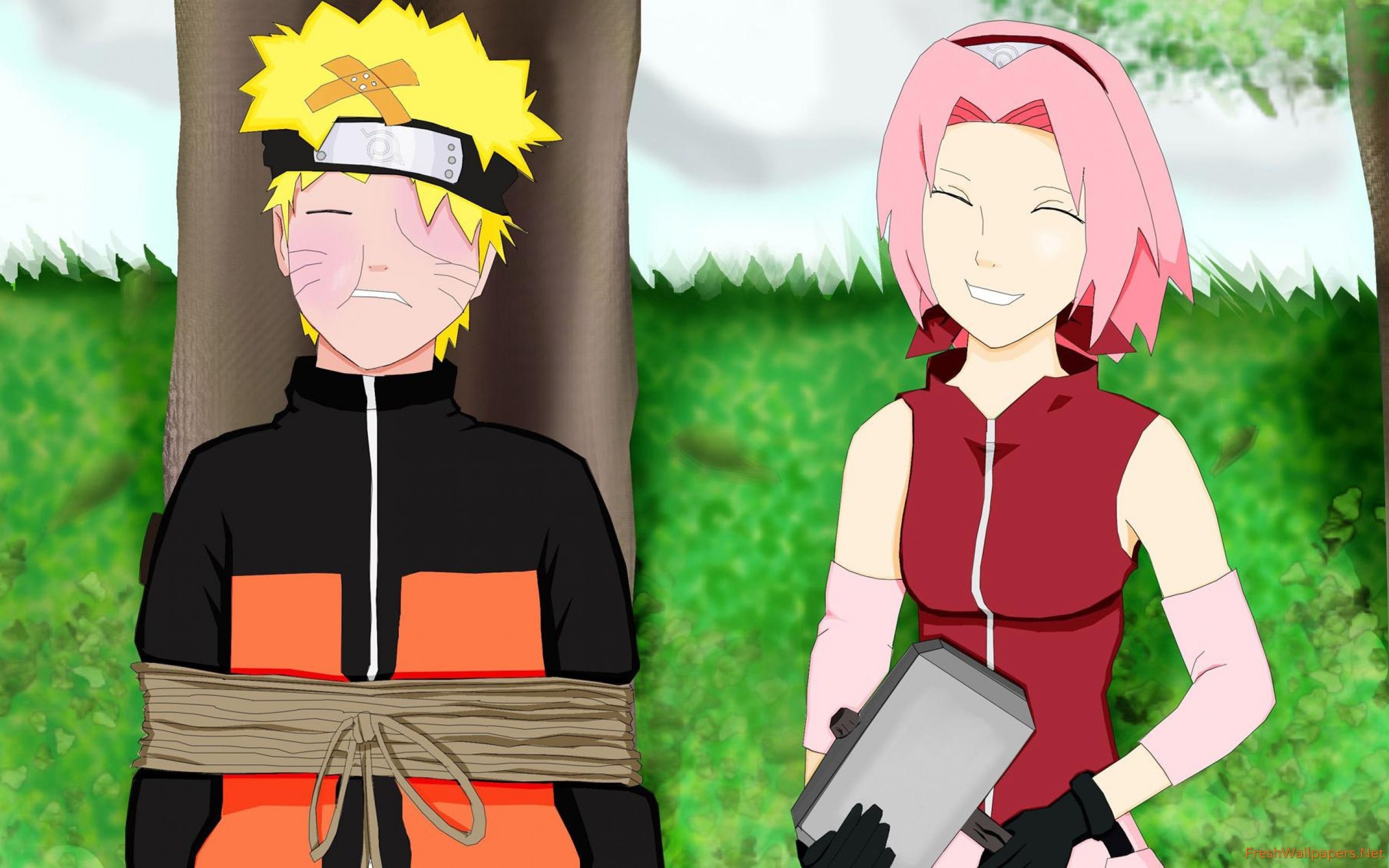 2560x1600 Sakura Haruno and Naruto Uzumaki in Naruto wallpaper